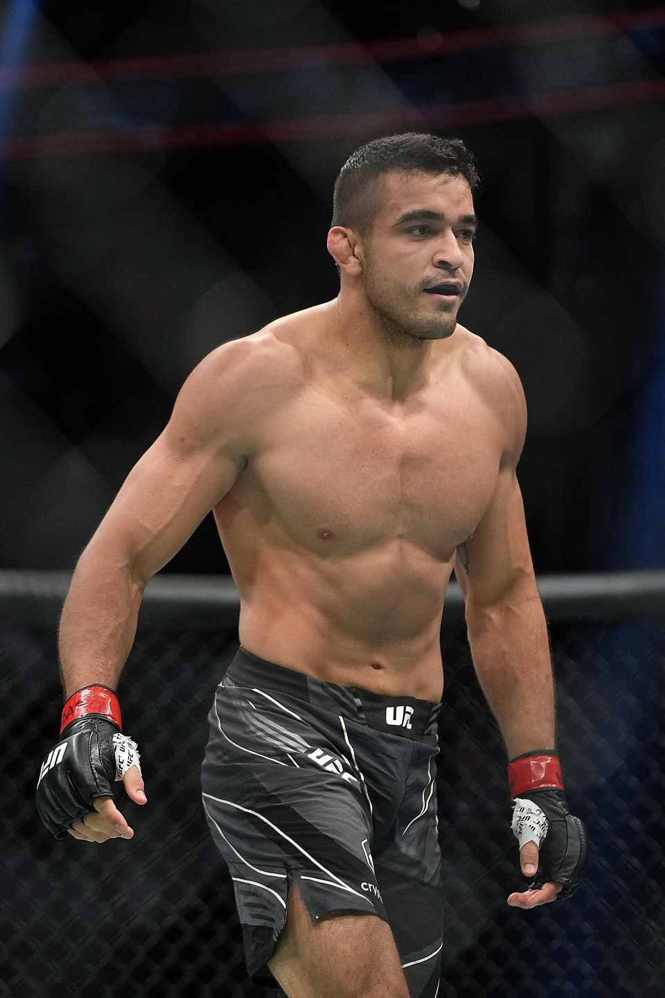 ufc picks Andre Muniz predictions best bet odds