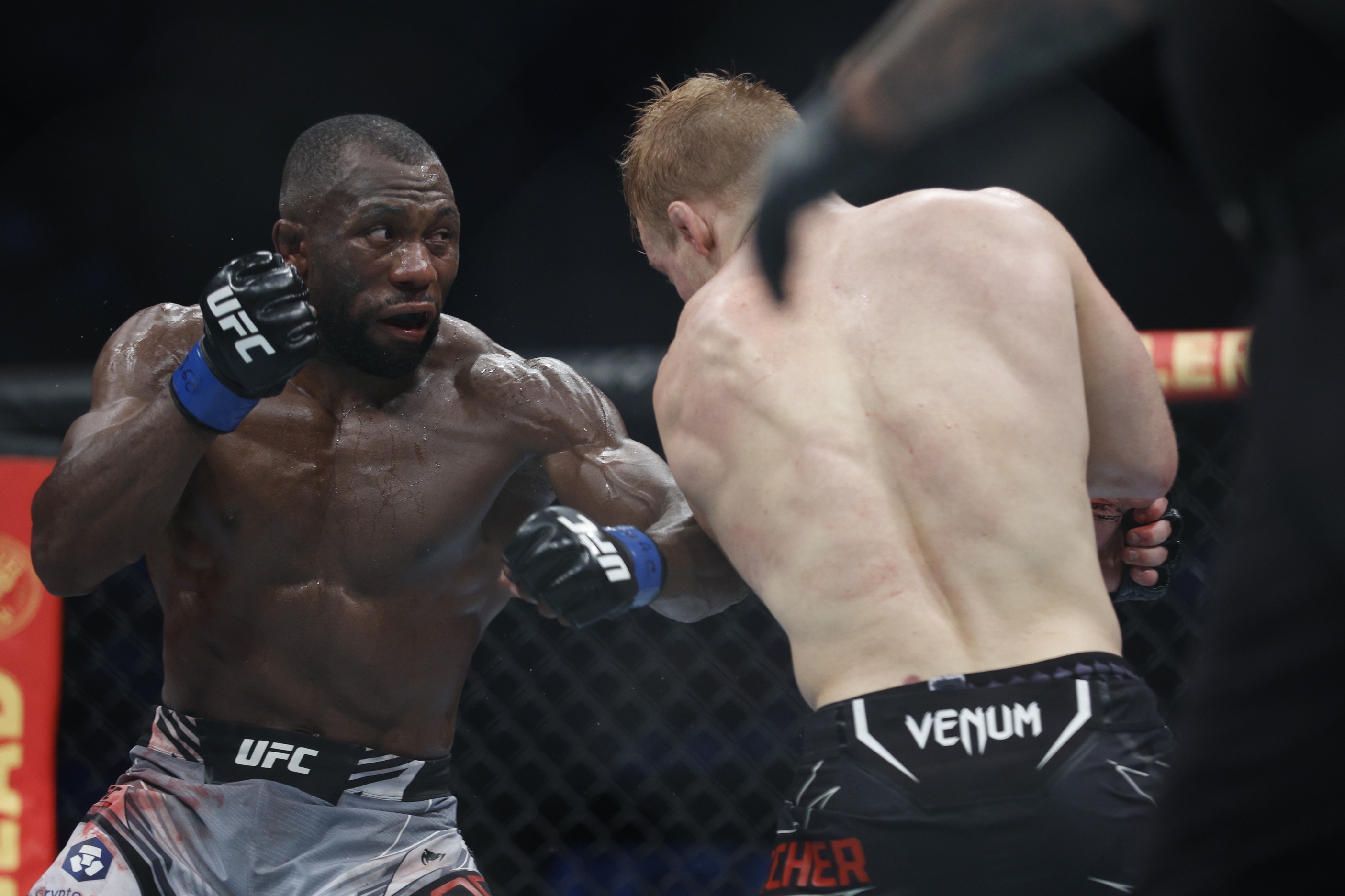 ufc picks Ange Loosa ufc predictions best bet odds