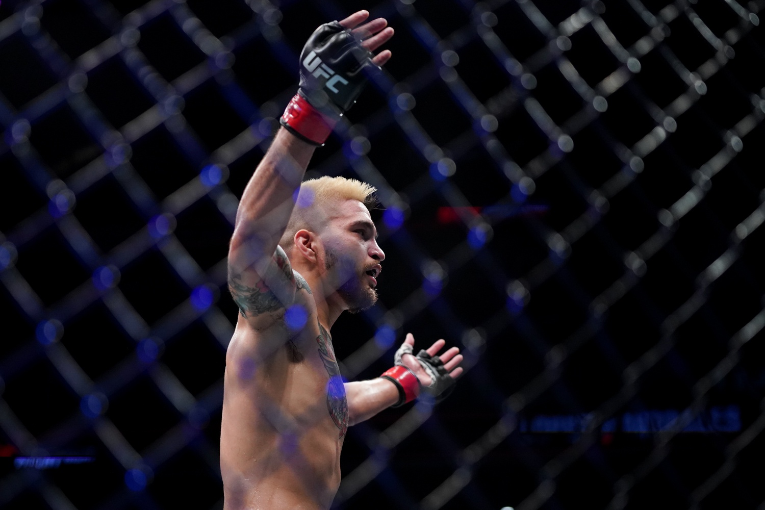 ufc picks Benito Lopez predictions best bet odds