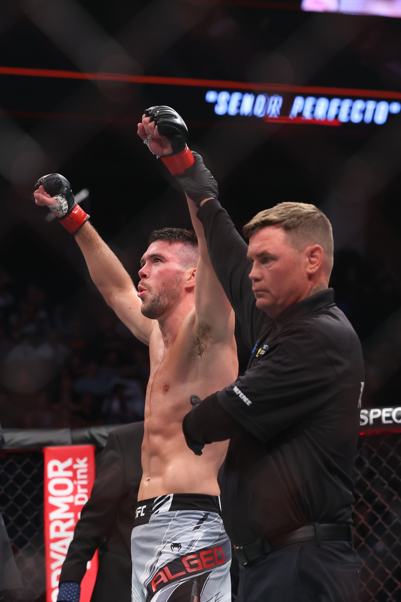 ufc picks Bill Algeo predictions best bet odds