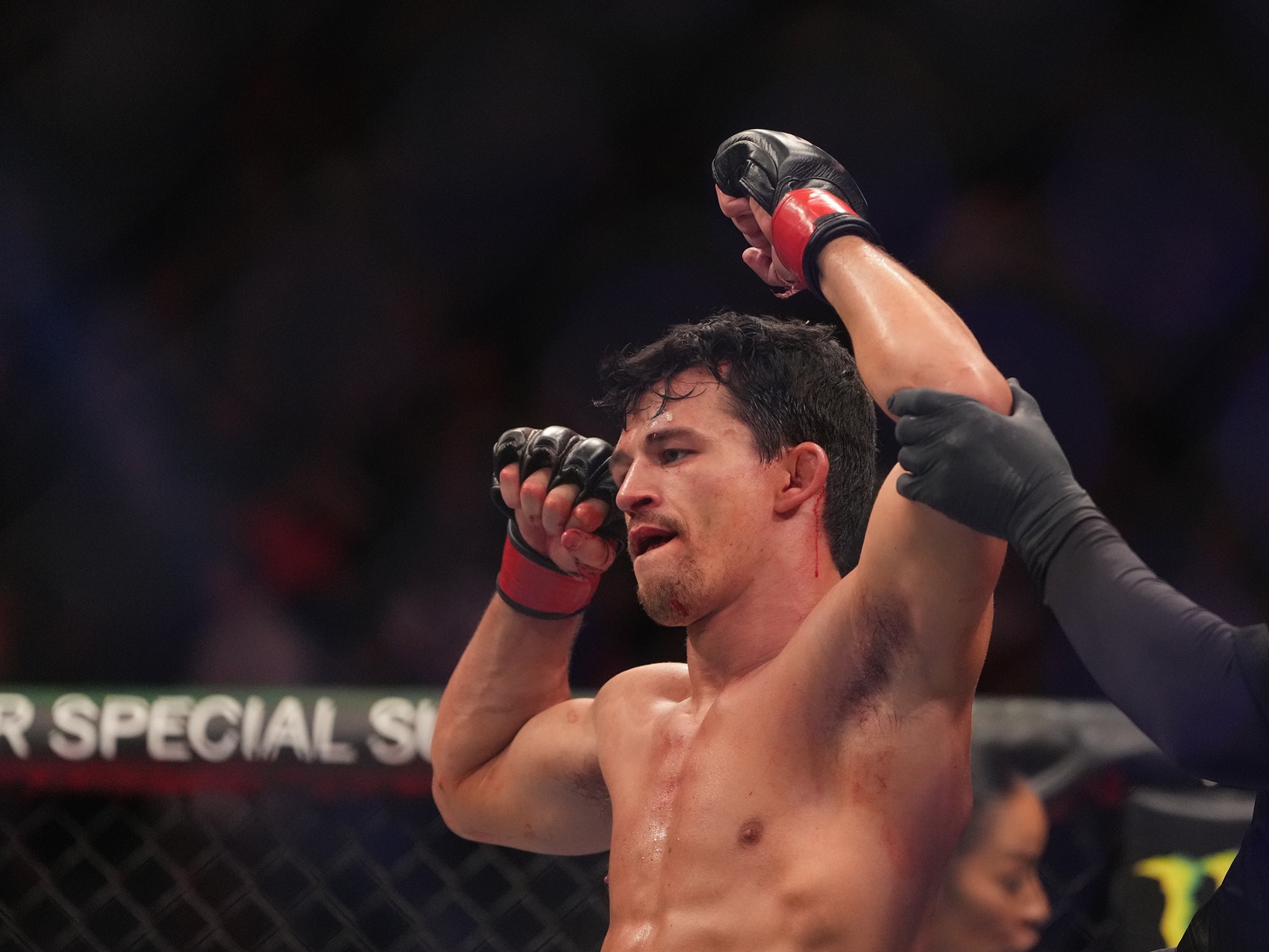 ufc picks Billy Quarantillo predictions best bet odds