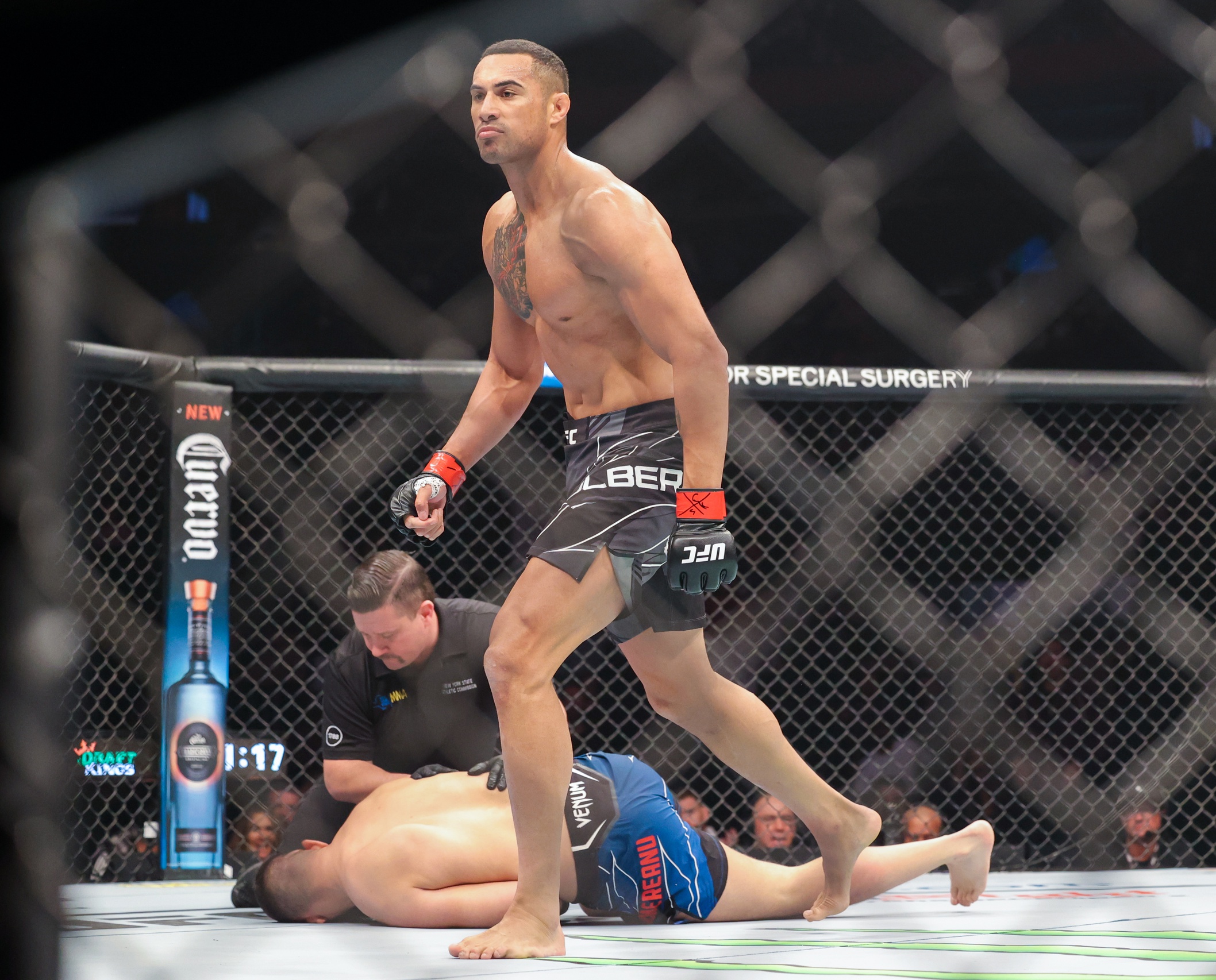 ufc picks Carlos Ulberg ufc predictions best bet odds