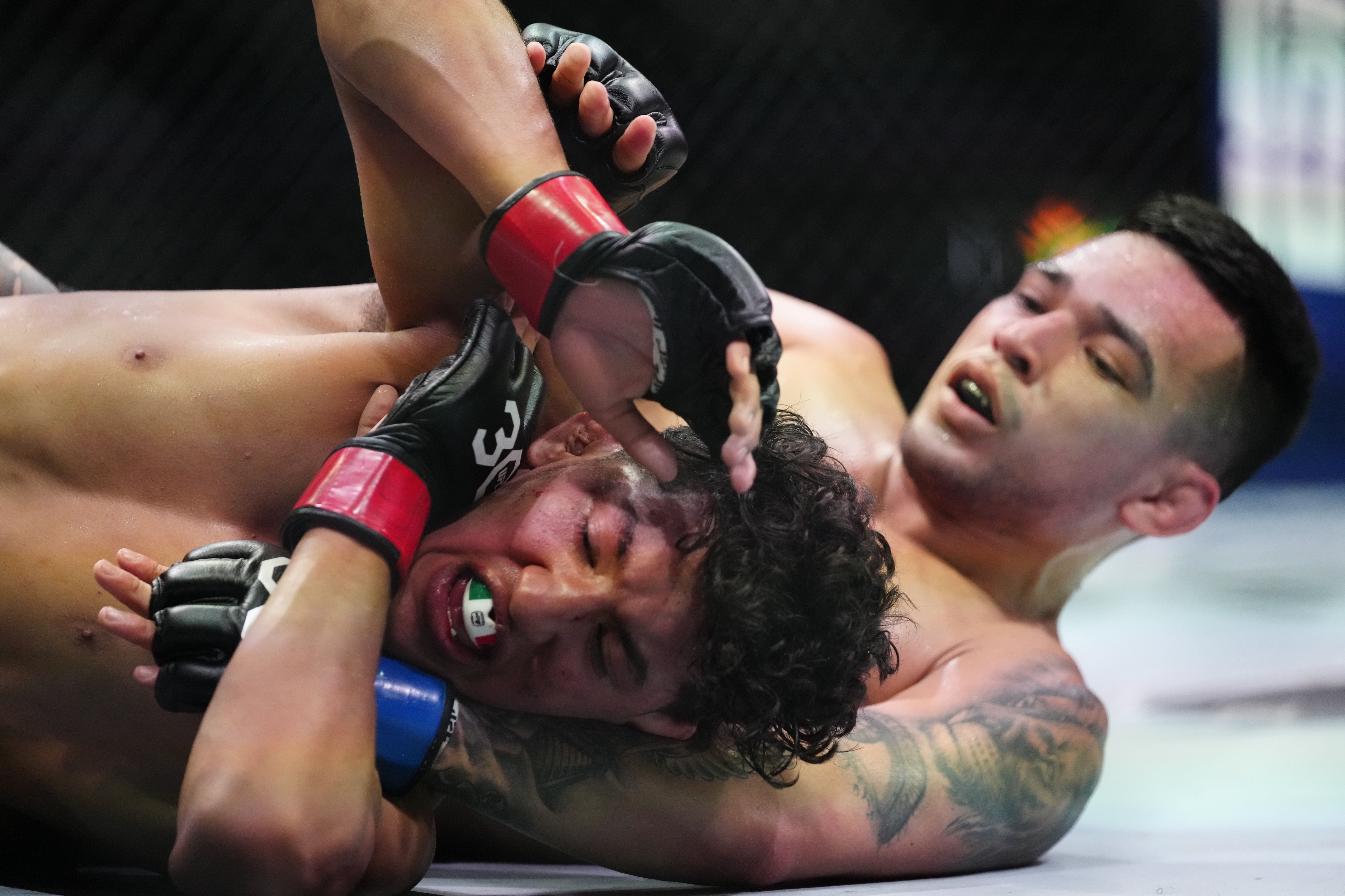ufc picks Christian Rodriguez ufc predictions best bet odds