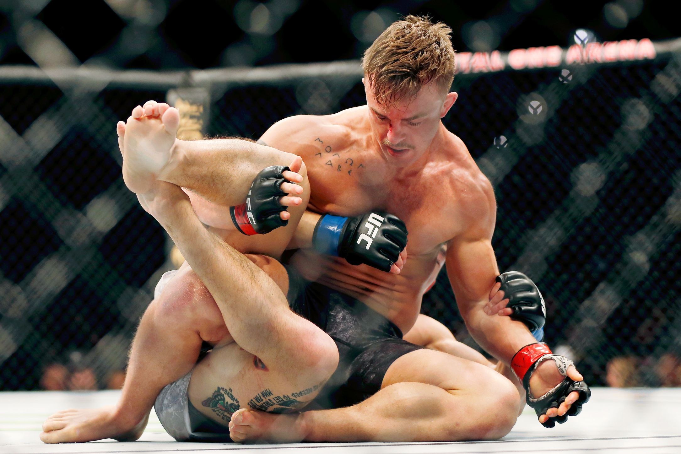ufc picks Cody Stamann predictions best bet odds