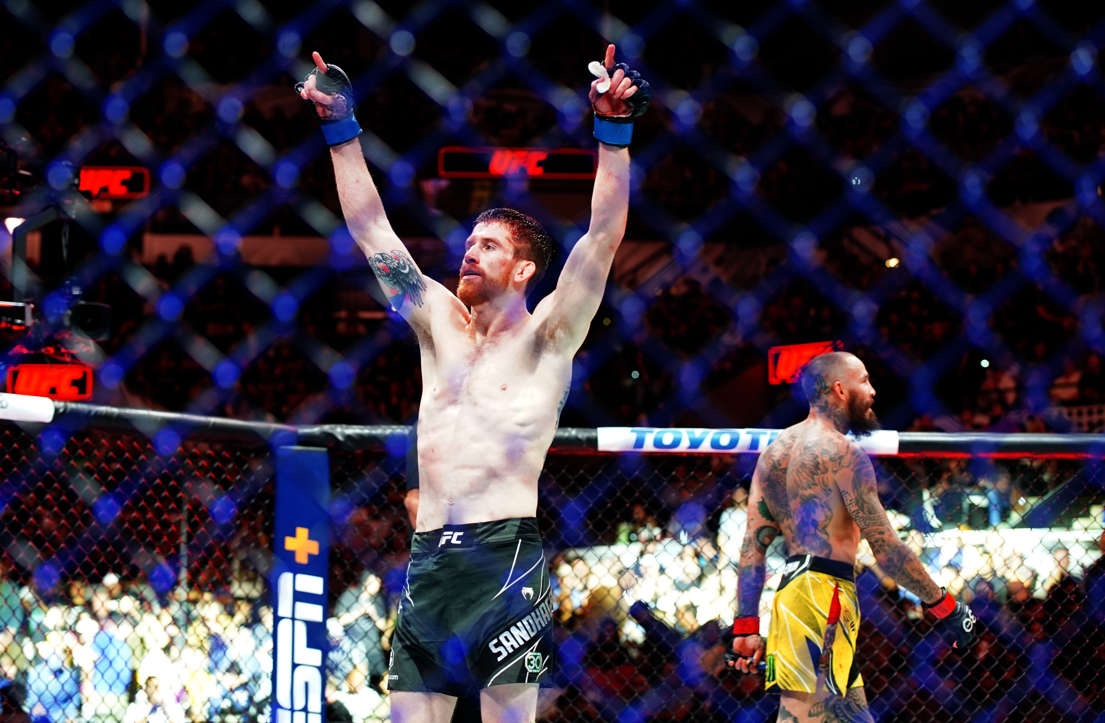 ufc picks Cory Sandhagen ufc predictions best bet odds