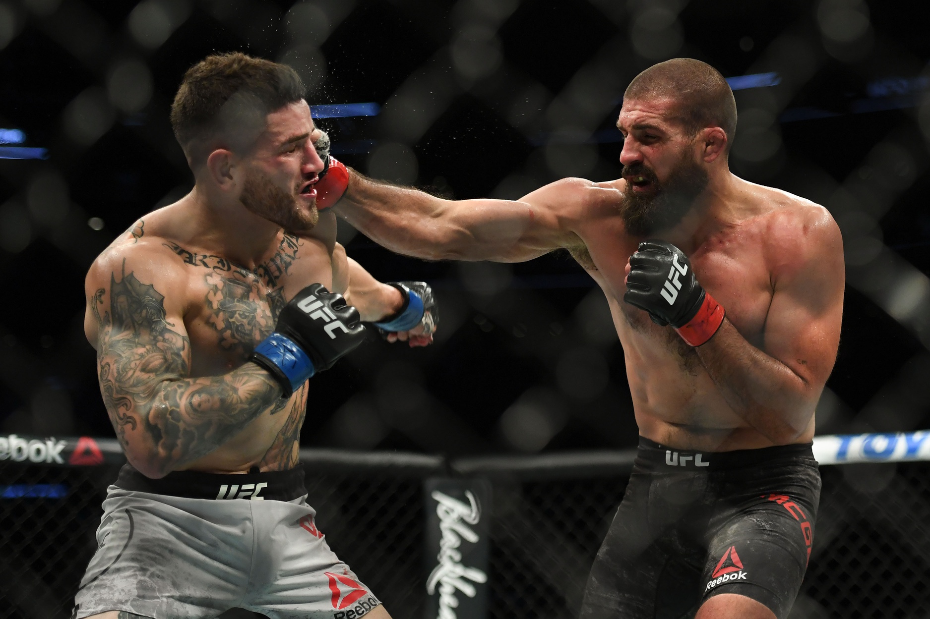 ufc picks Court McGee ufc predictions best bet odds