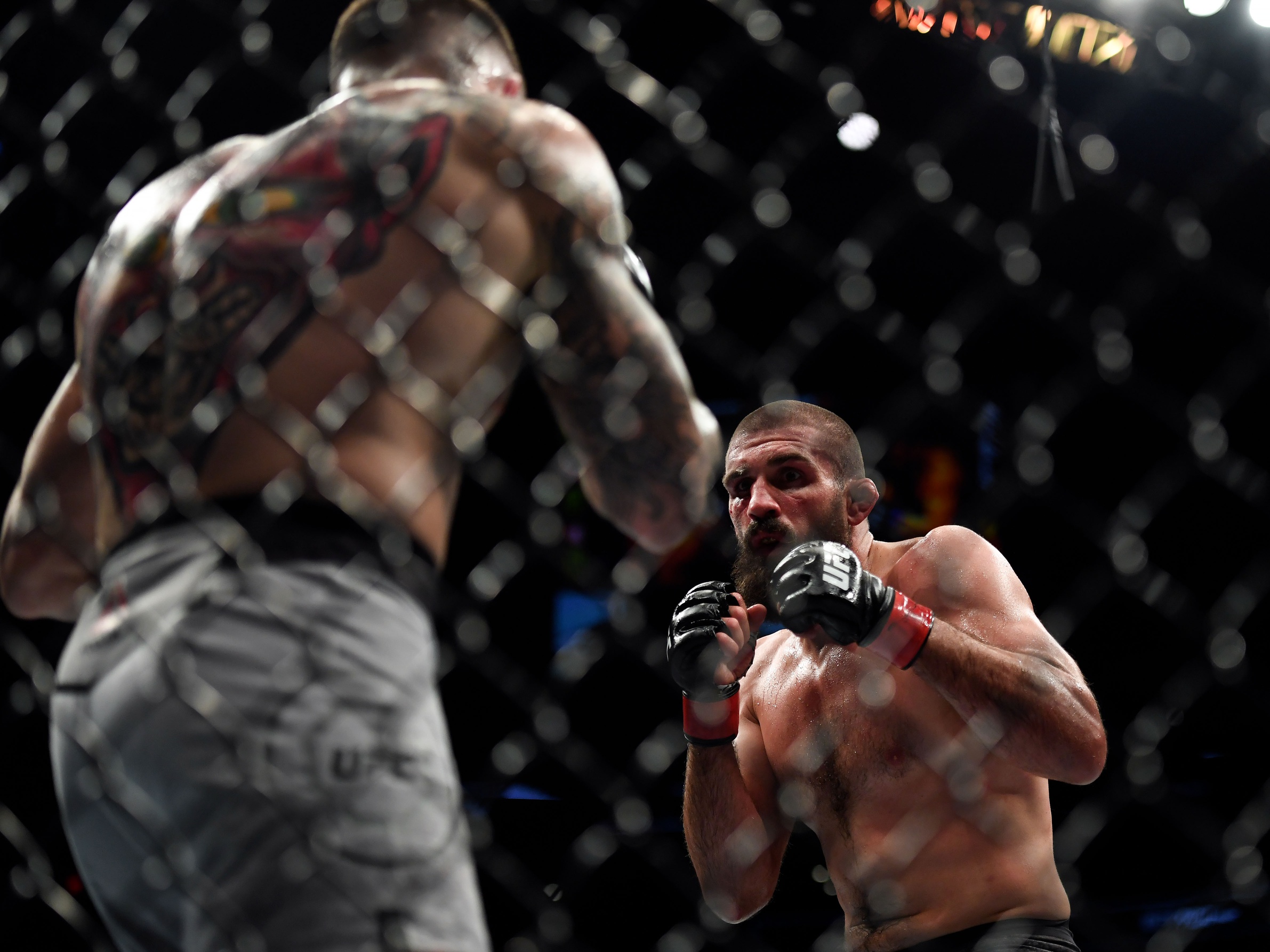 ufc picks Court McGee ufc predictions best bet odds