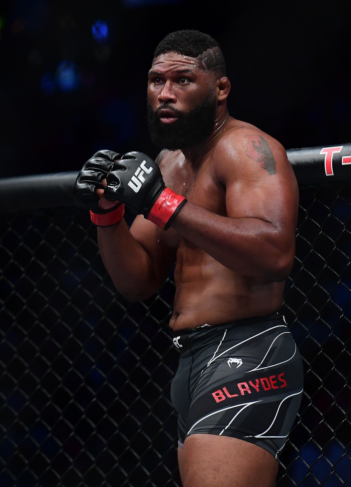 ufc picks Curtis Blaydes predictions best bet odds