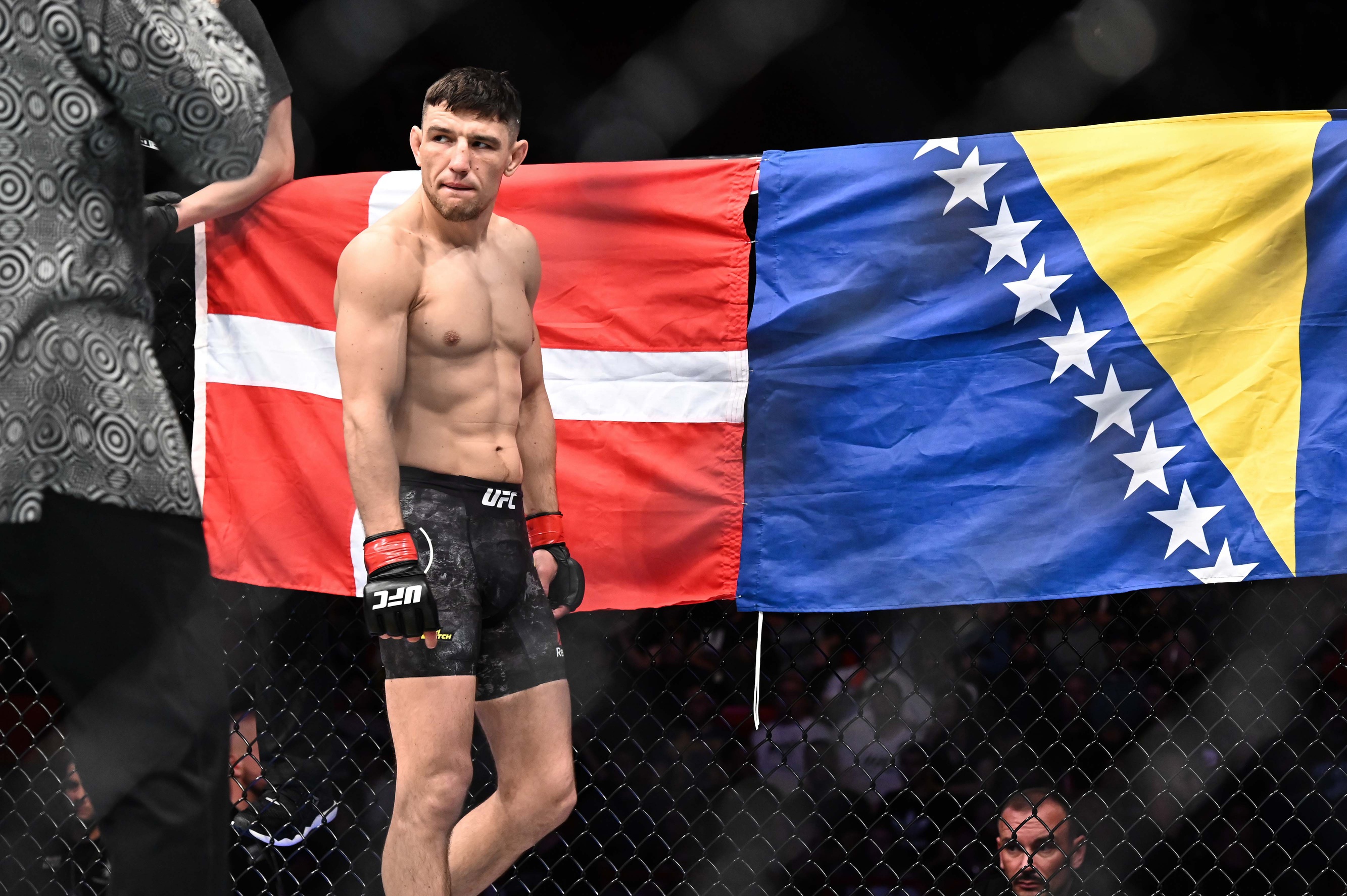 ufc picks Damir Hadzovic predictions best bet odds