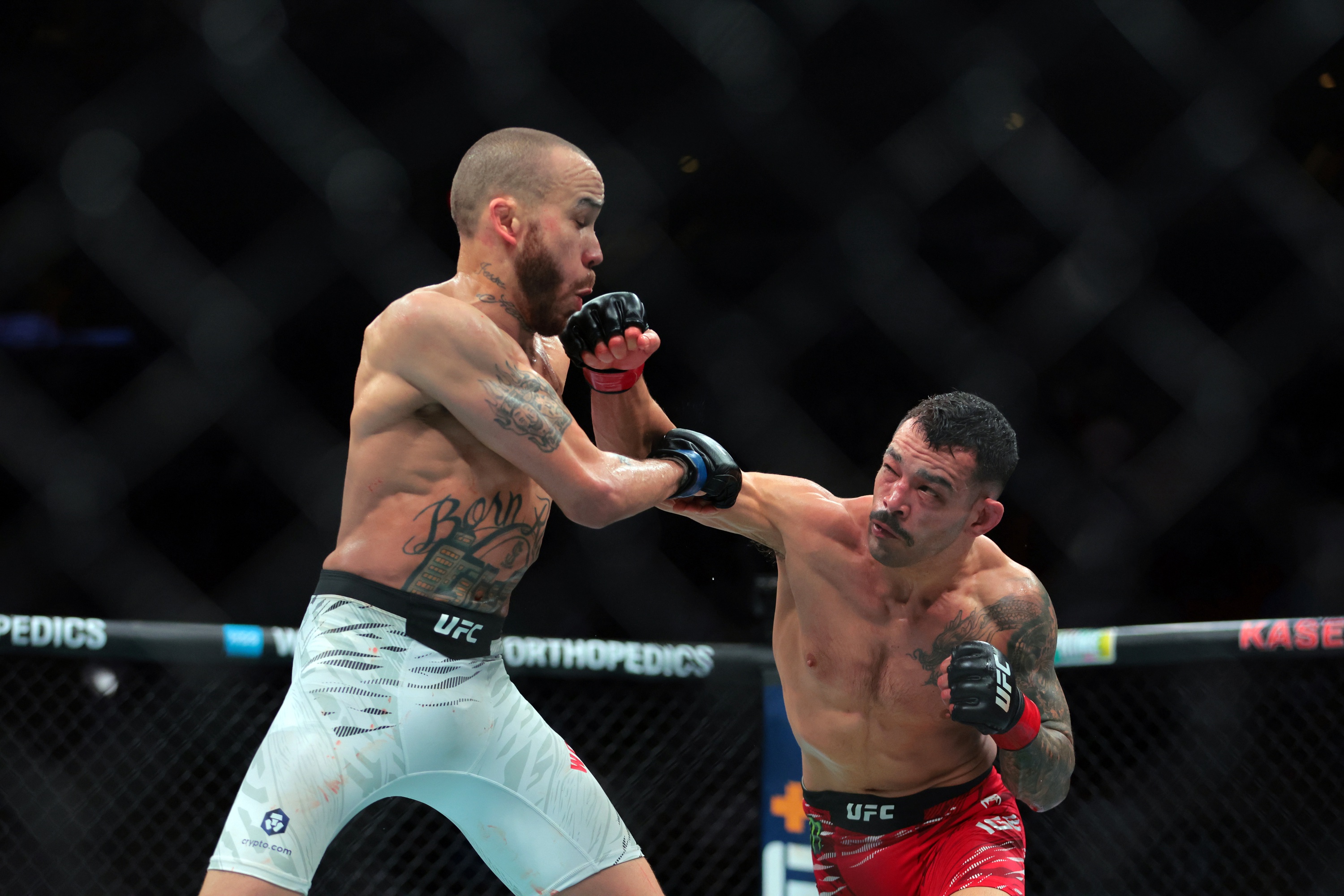 ufc picks Dan Ige ufc predictions best bet odds