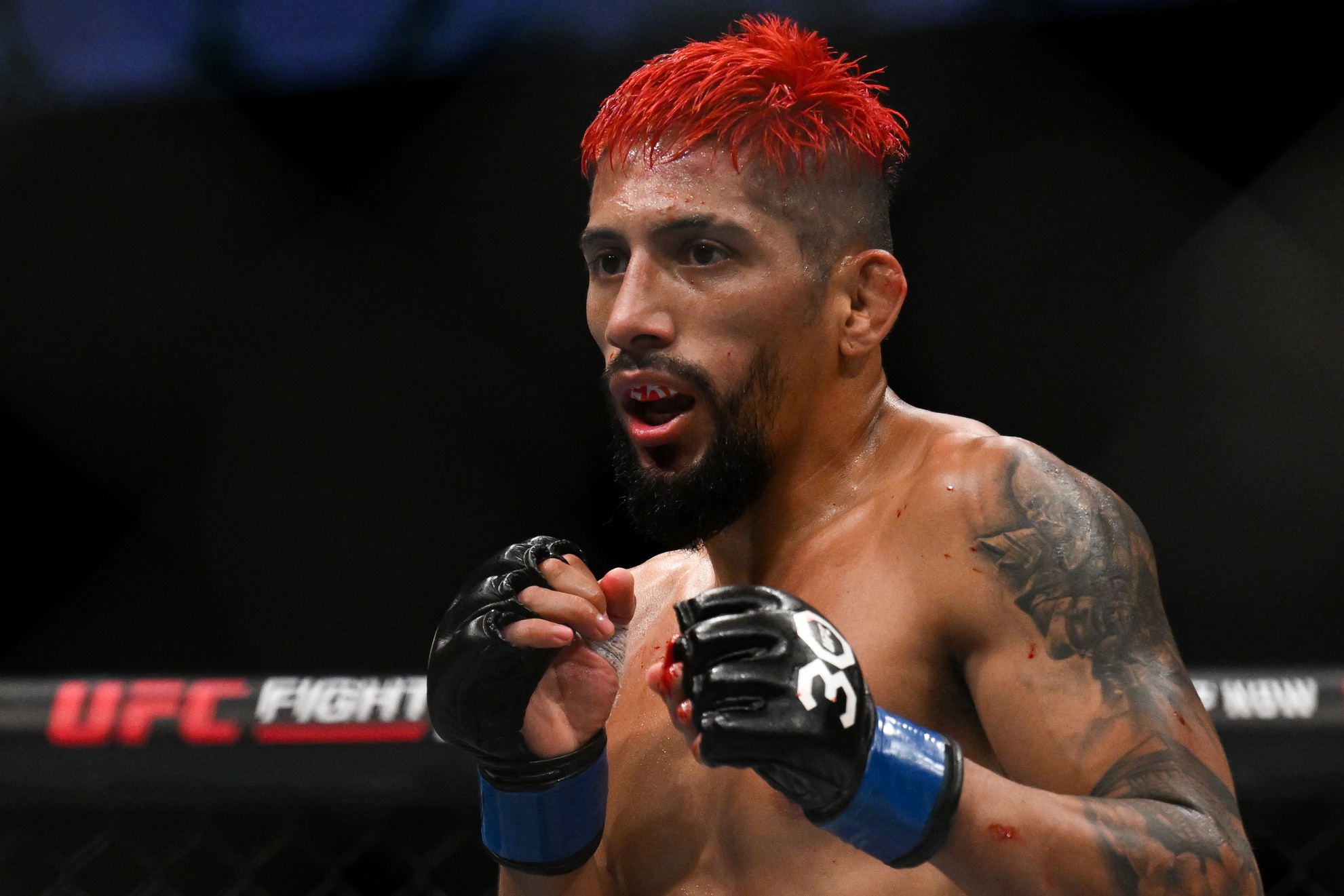 ufc picks Daniel Marcos ufc predictions best bet odds