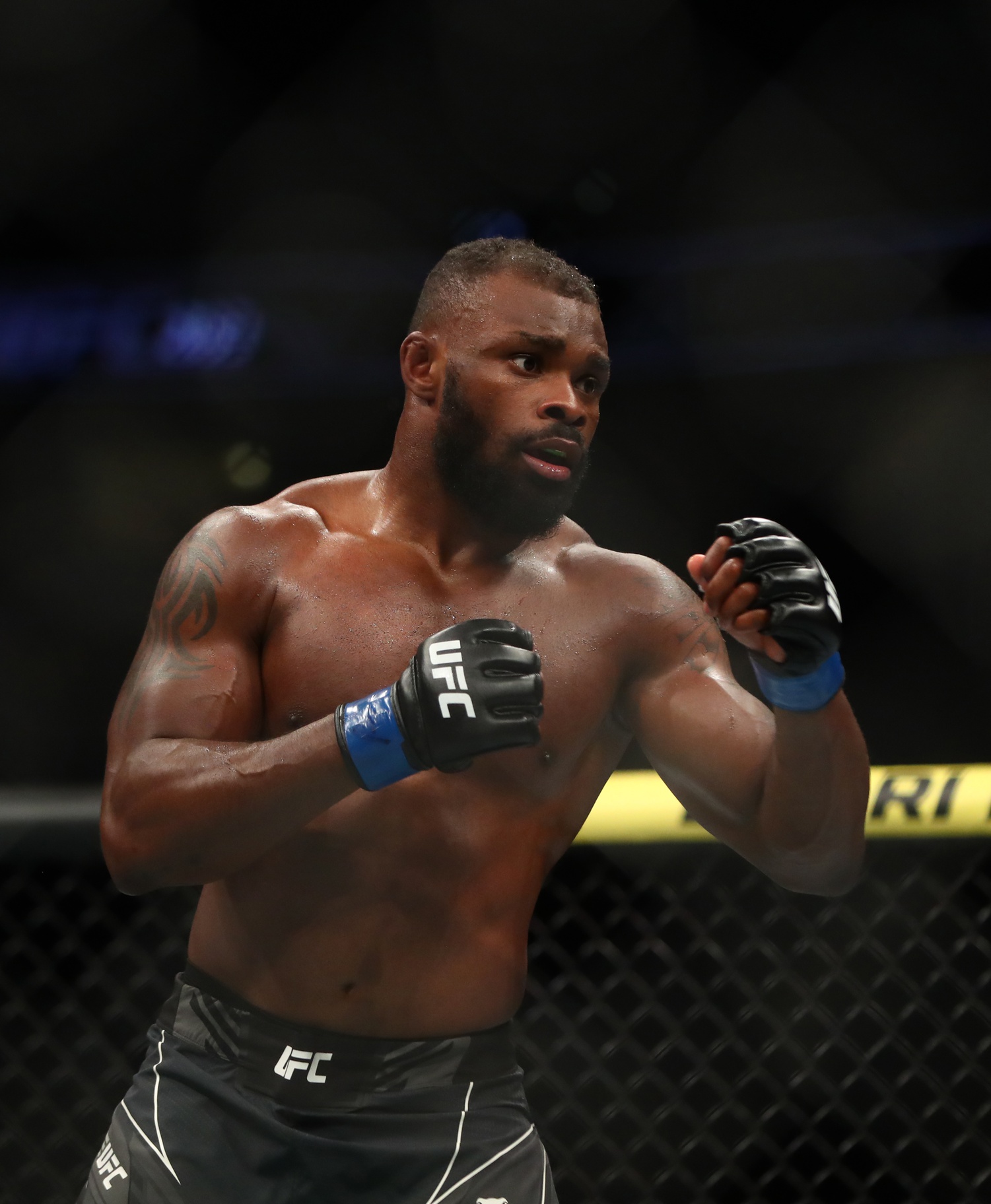 ufc picks Darren Stewart predictions best bet odds