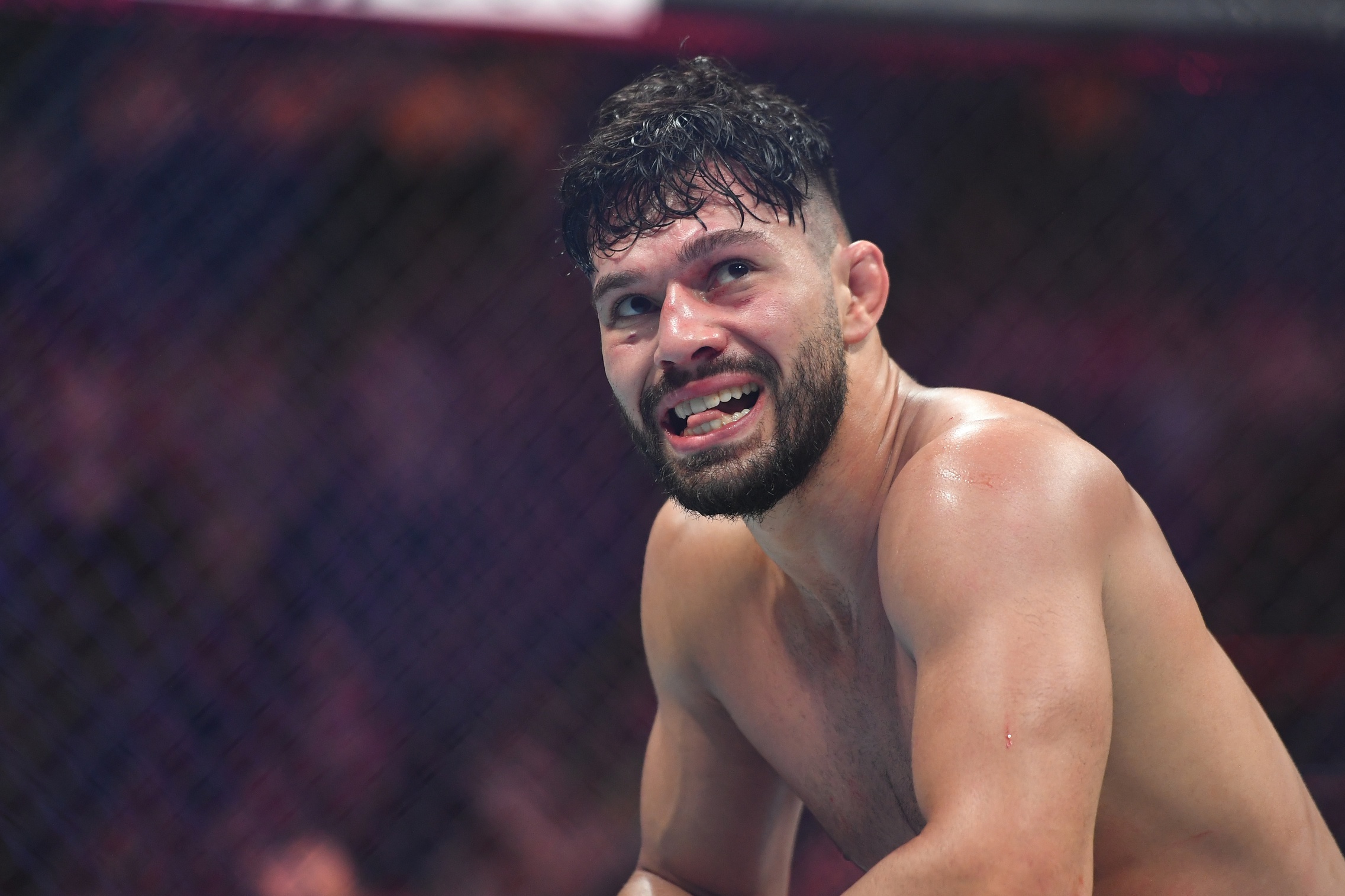 ufc picks Dennis Buzukja ufc predictions best bet odds