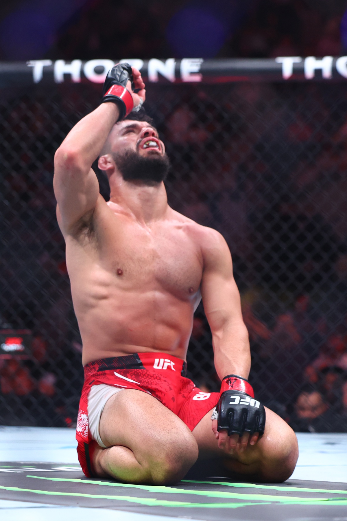 ufc picks Dennis Buzukja ufc predictions best bet odds