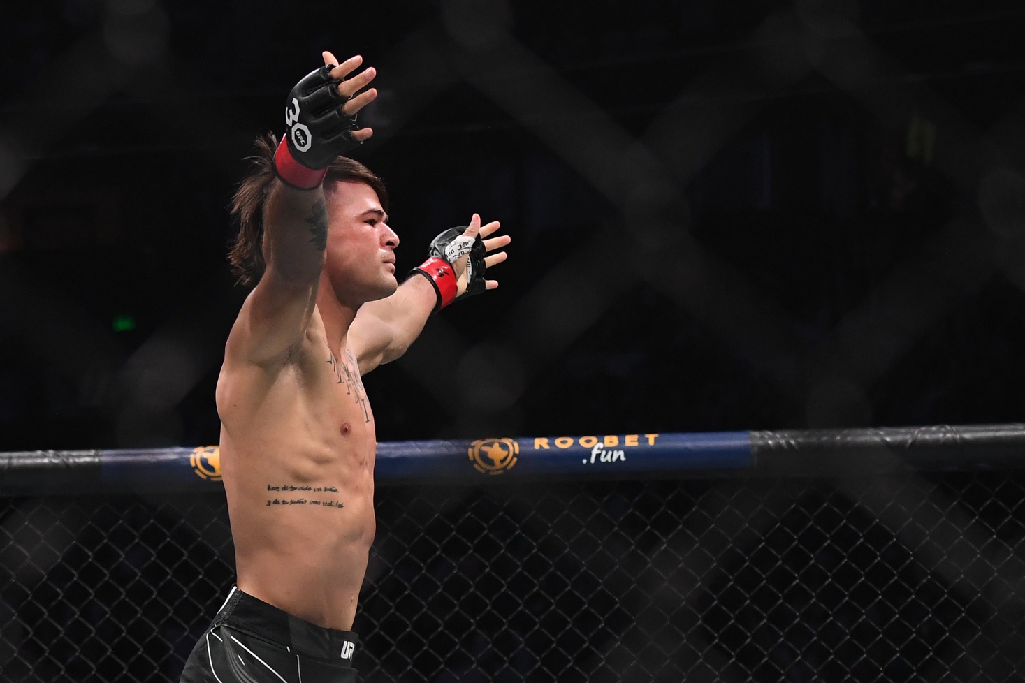 ufc picks Diego Lopes ufc predictions best bet odds