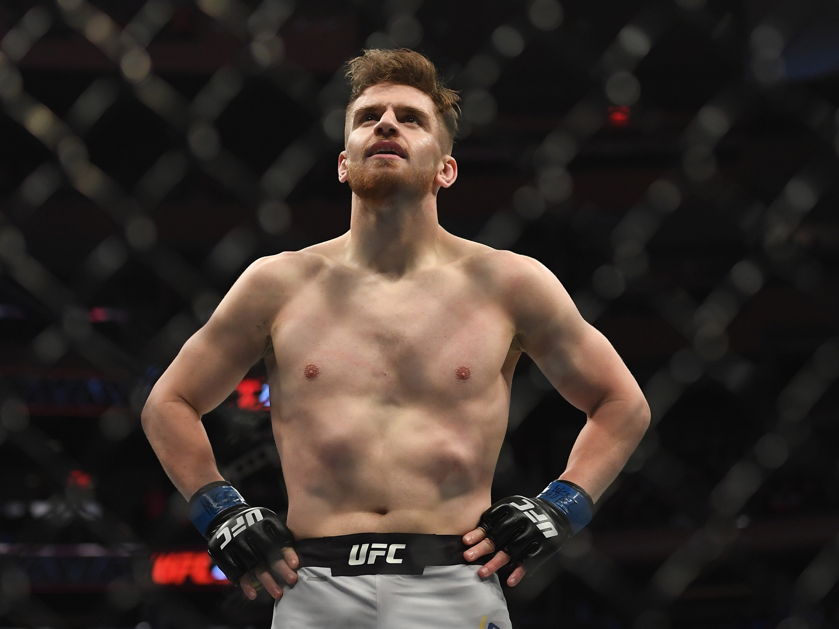 ufc picks Edmen Shahbazyan predictions best bet odds