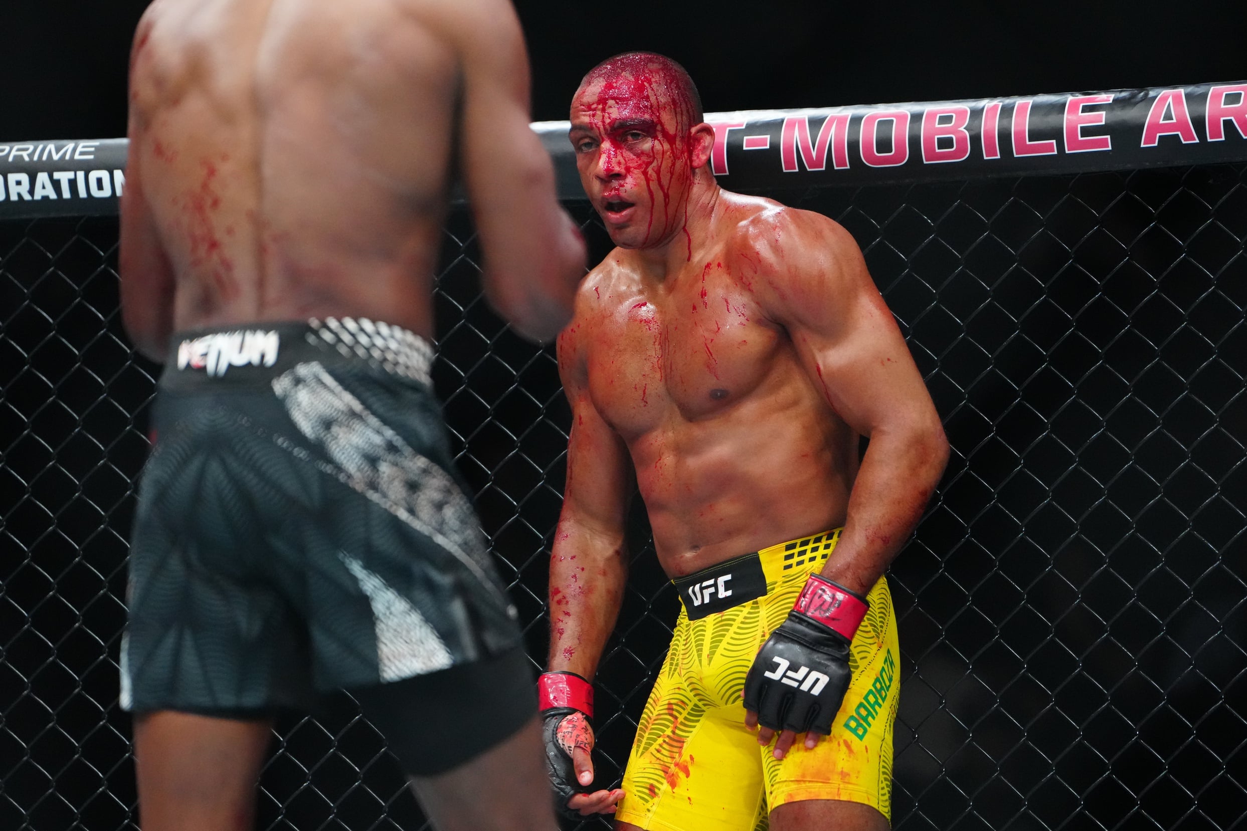 ufc picks Edson Barboza predictions best bet odds