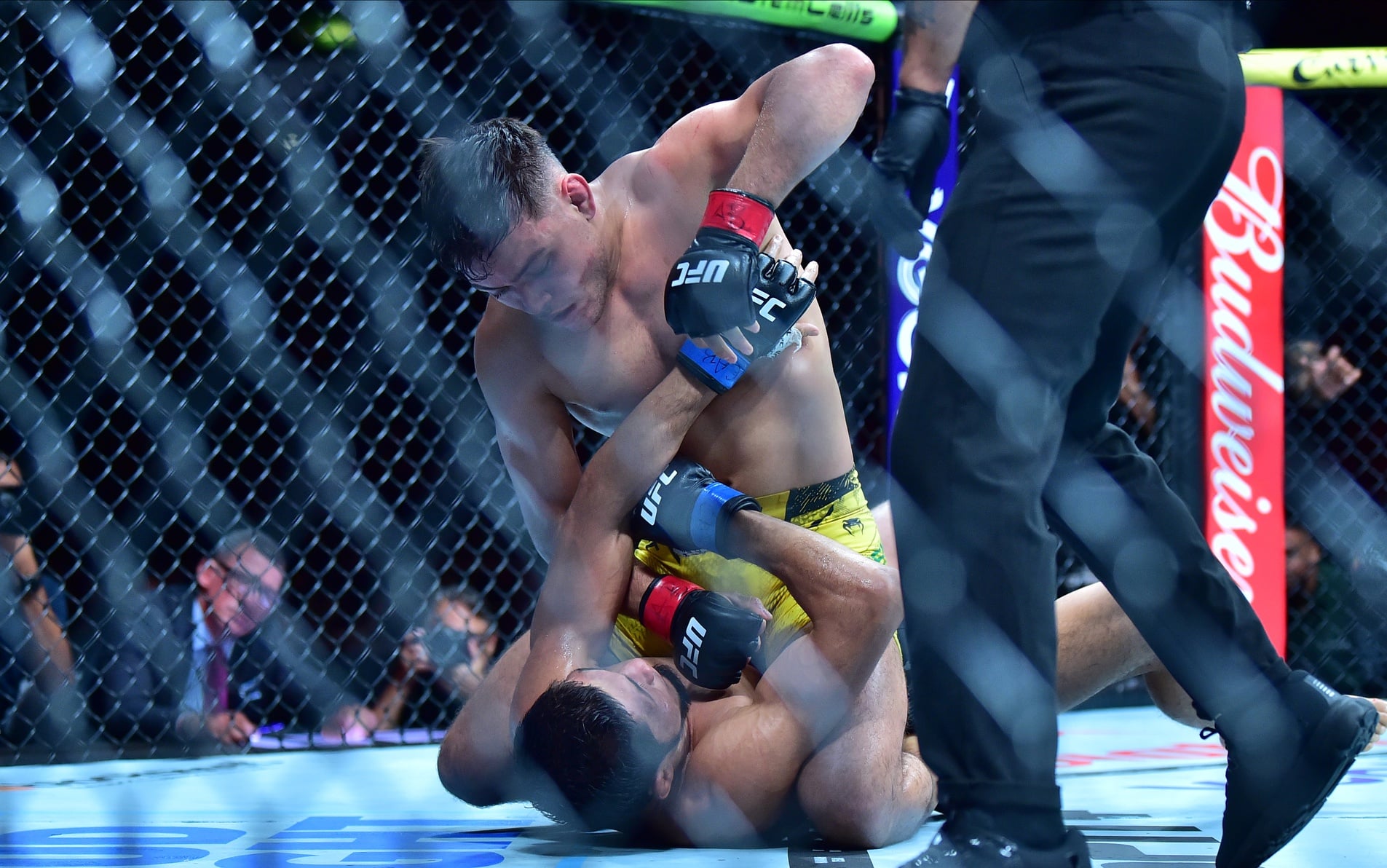 ufc picks Elves Brener predictions best bet odds