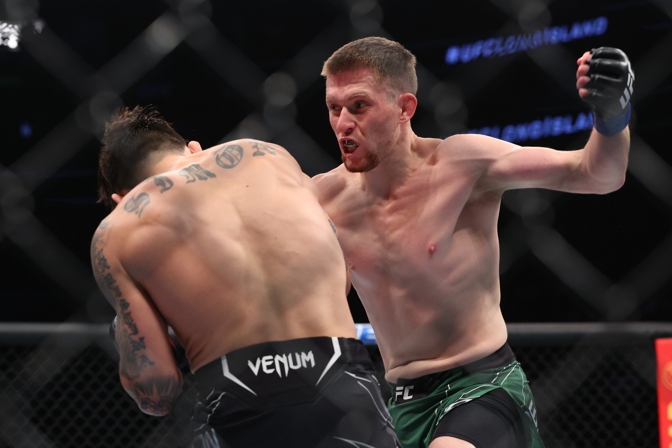 ufc picks Jack Shore ufc predictions best bet odds