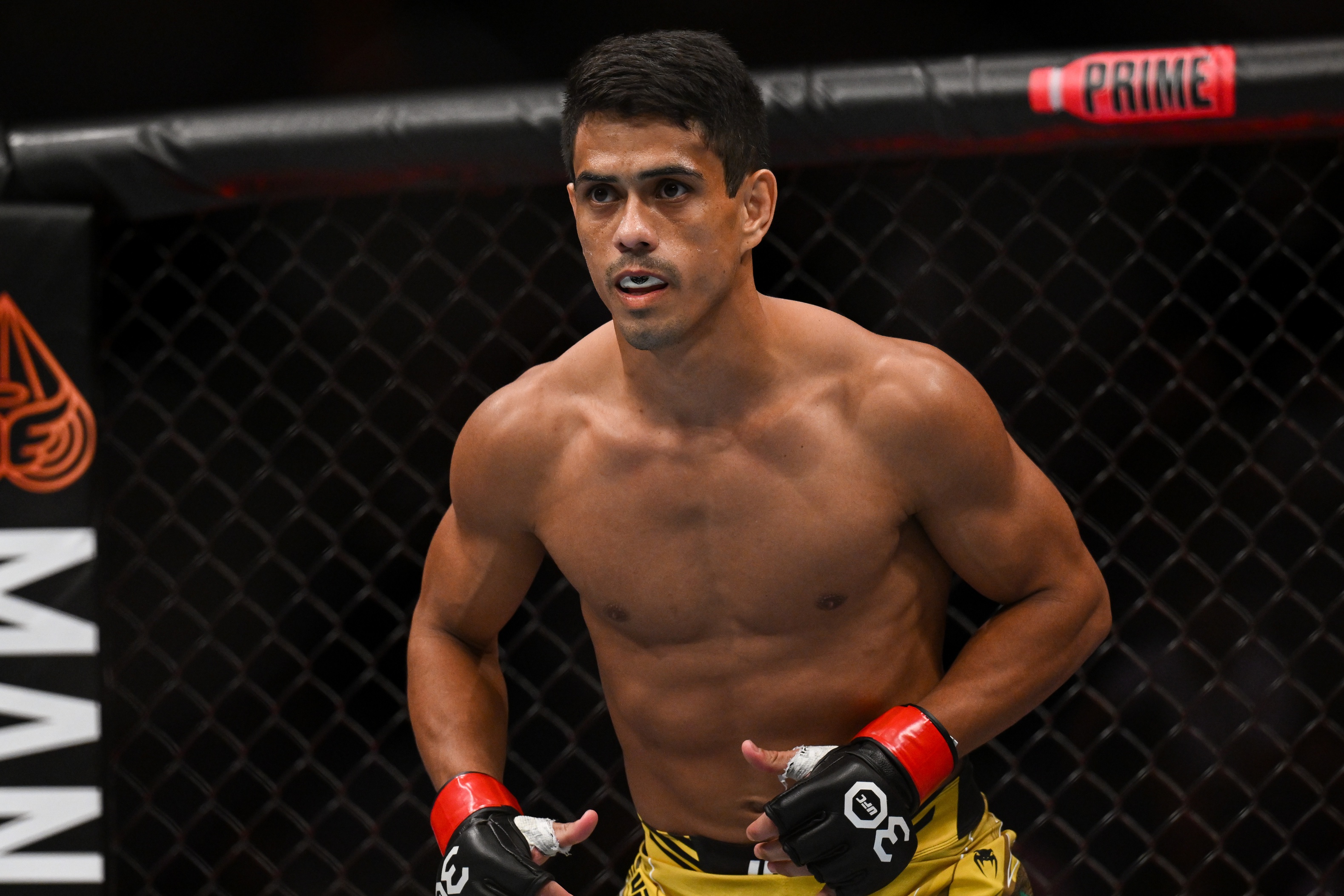 ufc picks Jafel Filho ufc predictions best bet odds