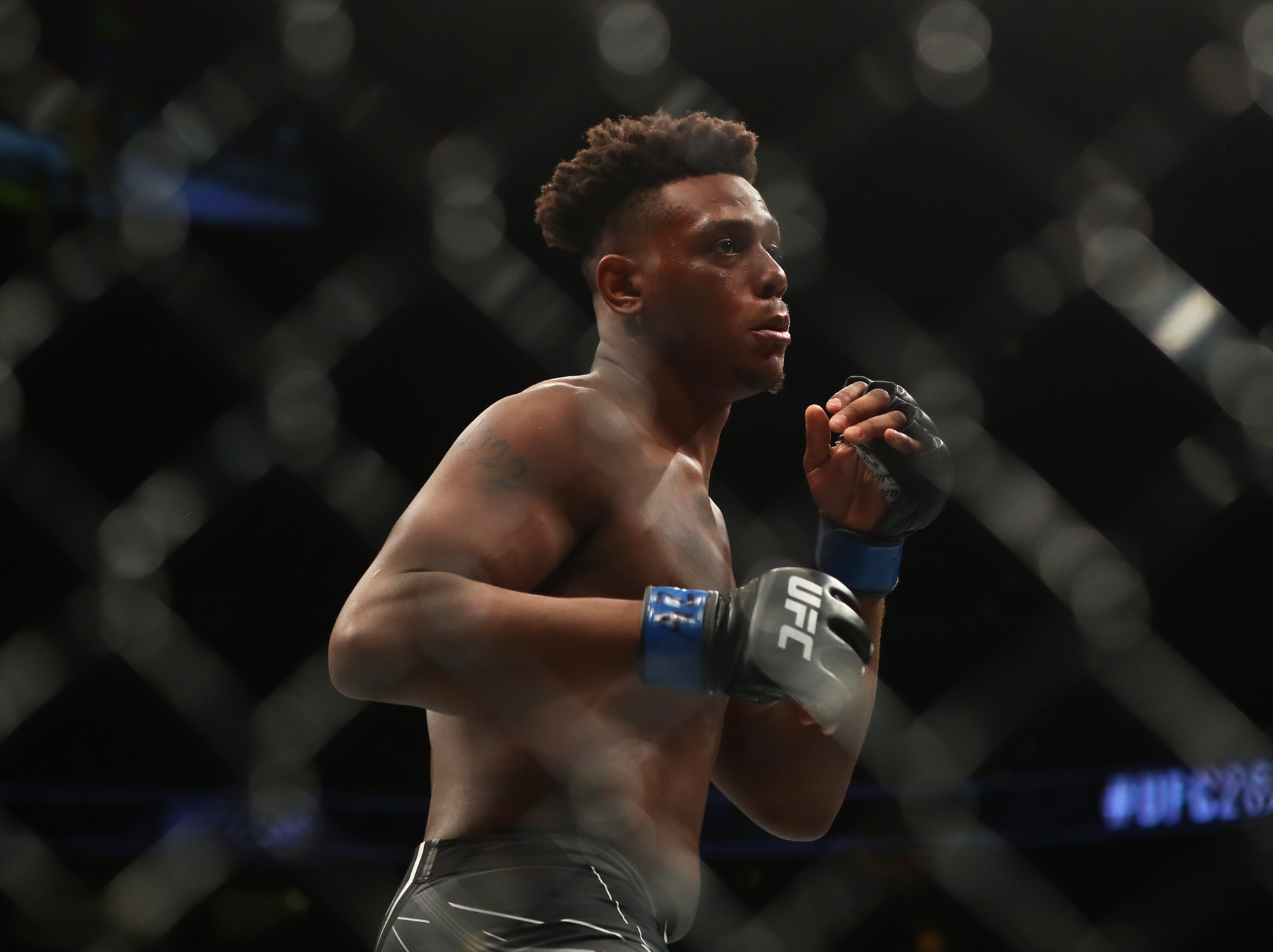ufc picks Jamahal Hill predictions best bet odds