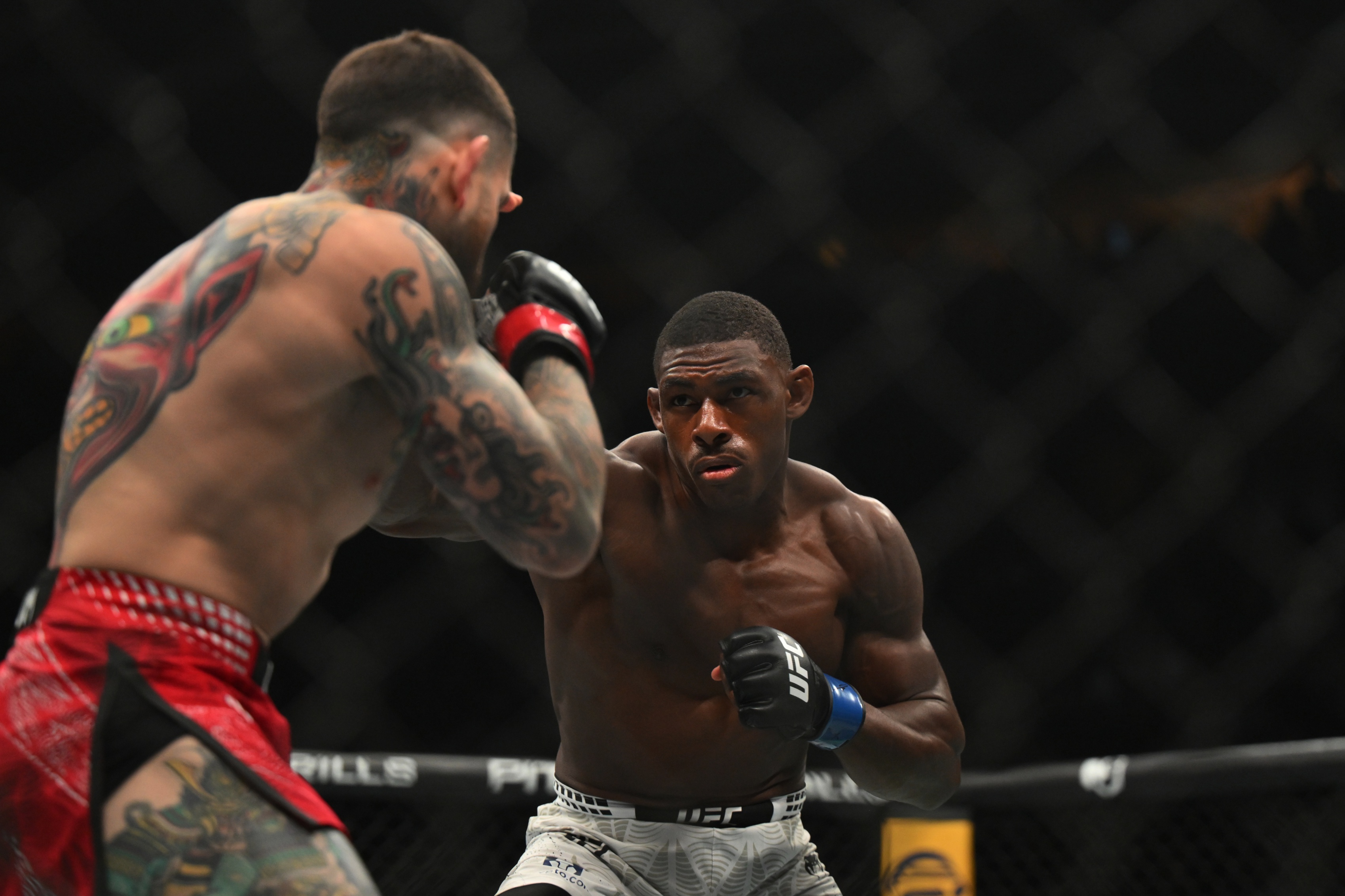 ufc picks Joaquin Buckley predictions best bet odds