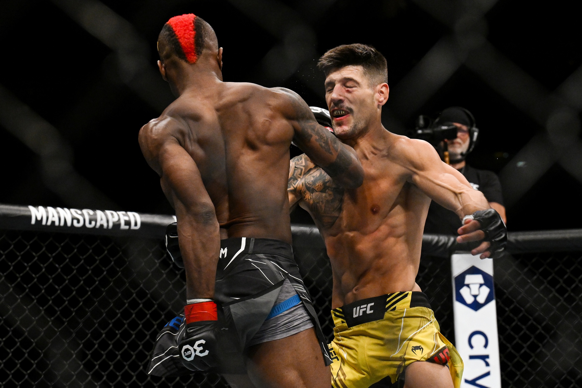 ufc picks Joel Alvarez ufc predictions best bet odds