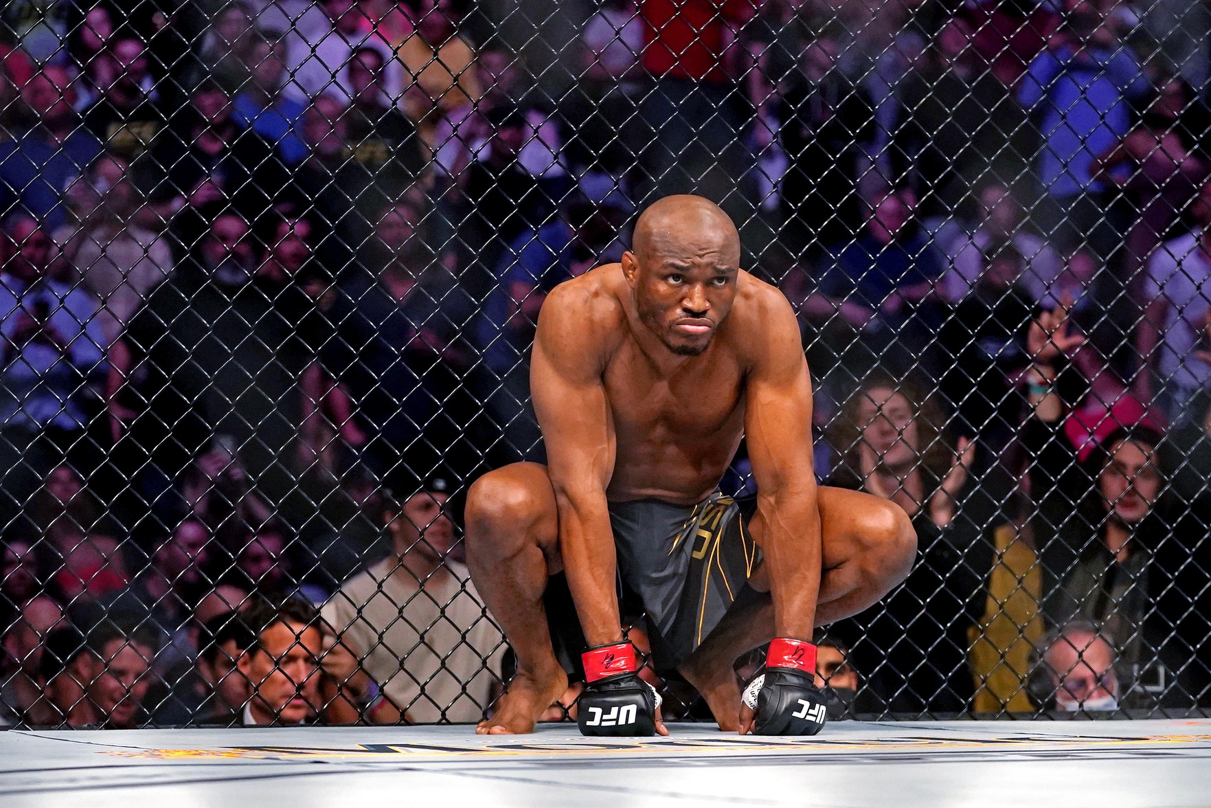 ufc picks Kamaru Usman predictions best bet odds