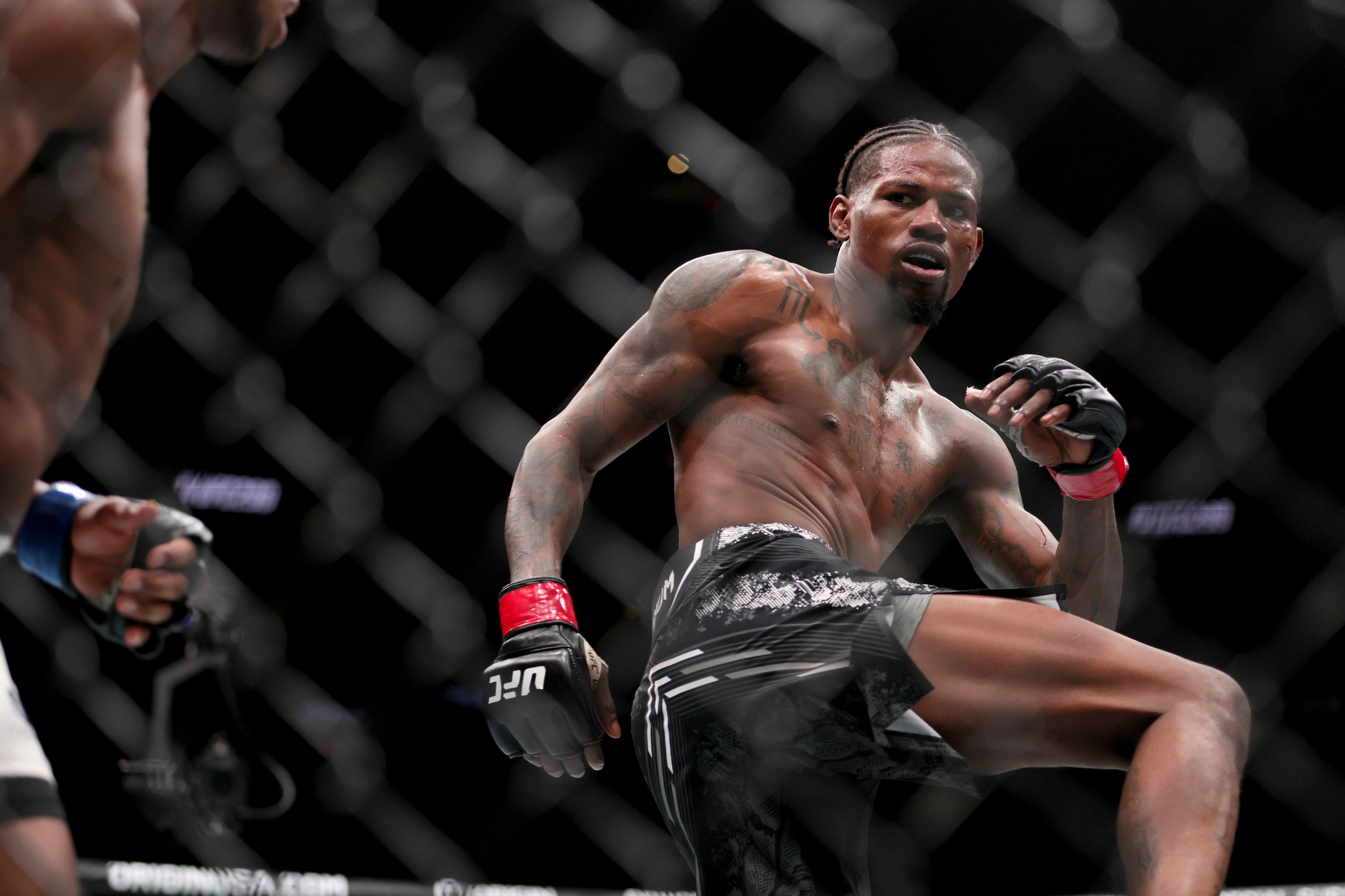 ufc picks Kevin Holland ufc predictions best bet odds