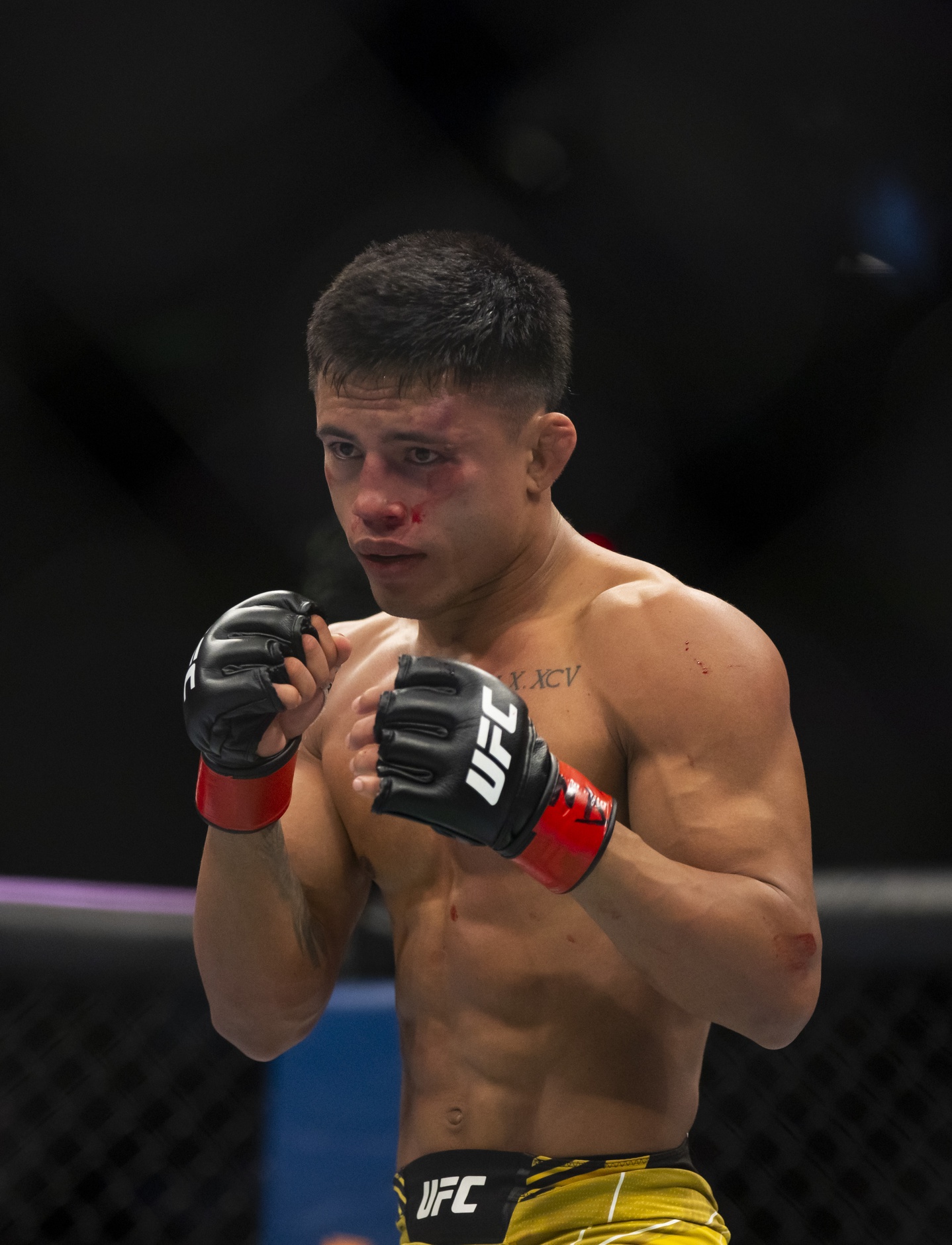 ufc picks Kleydson Rodrigues ufc predictions best bet odds