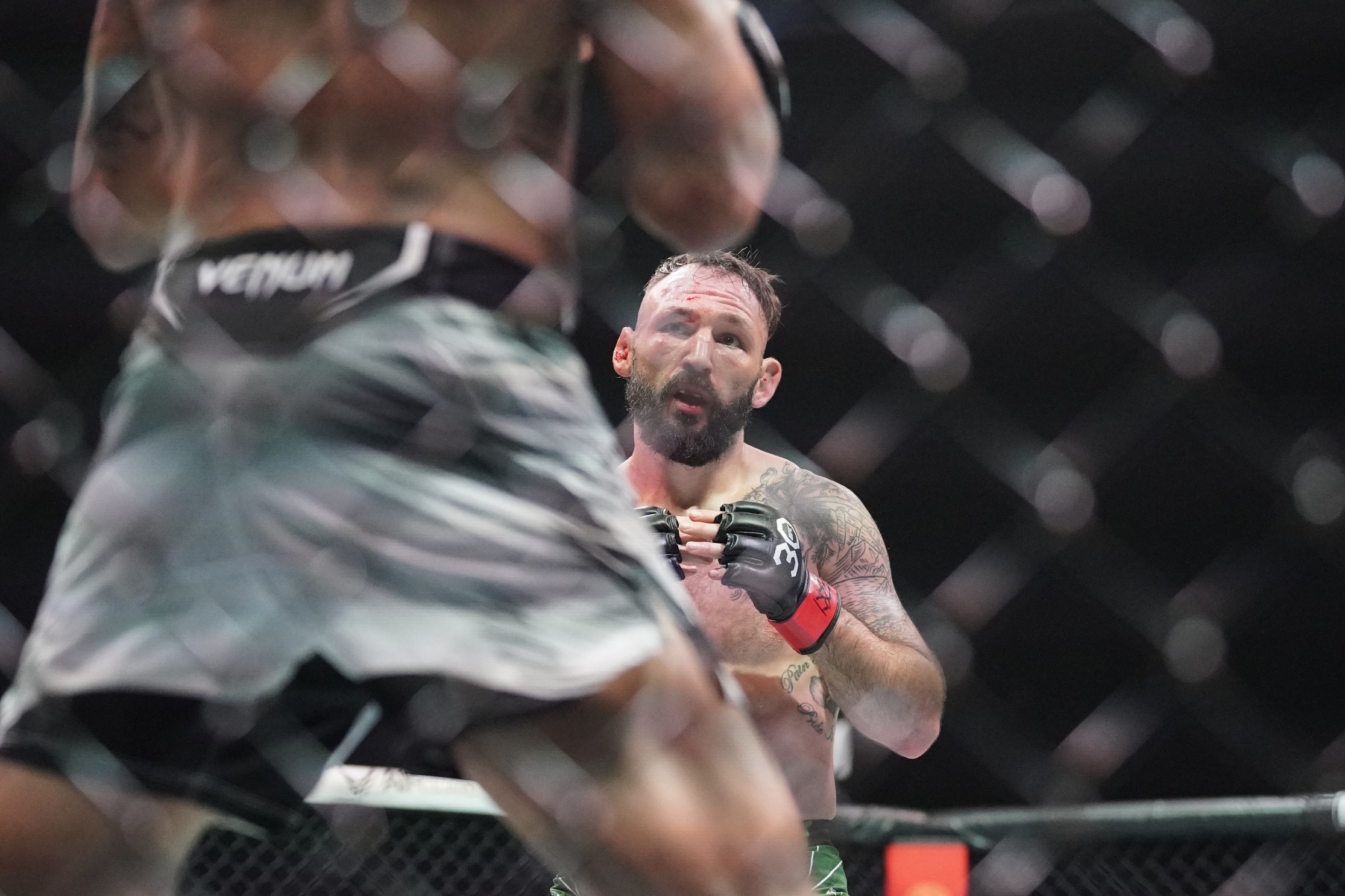ufc picks Lando Vannata ufc predictions best bet odds