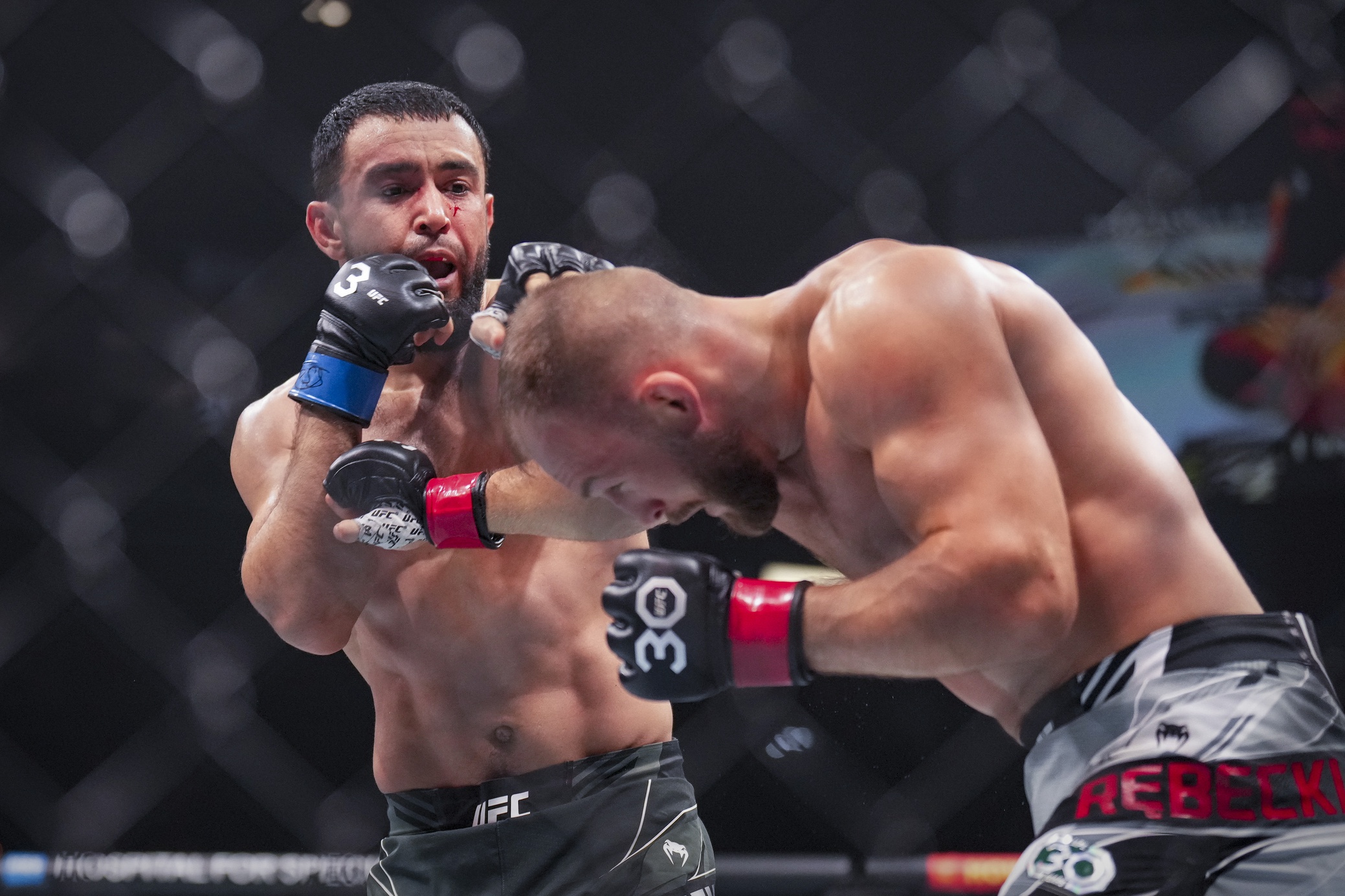 ufc picks Loik Radzhabov ufc predictions best bet odds