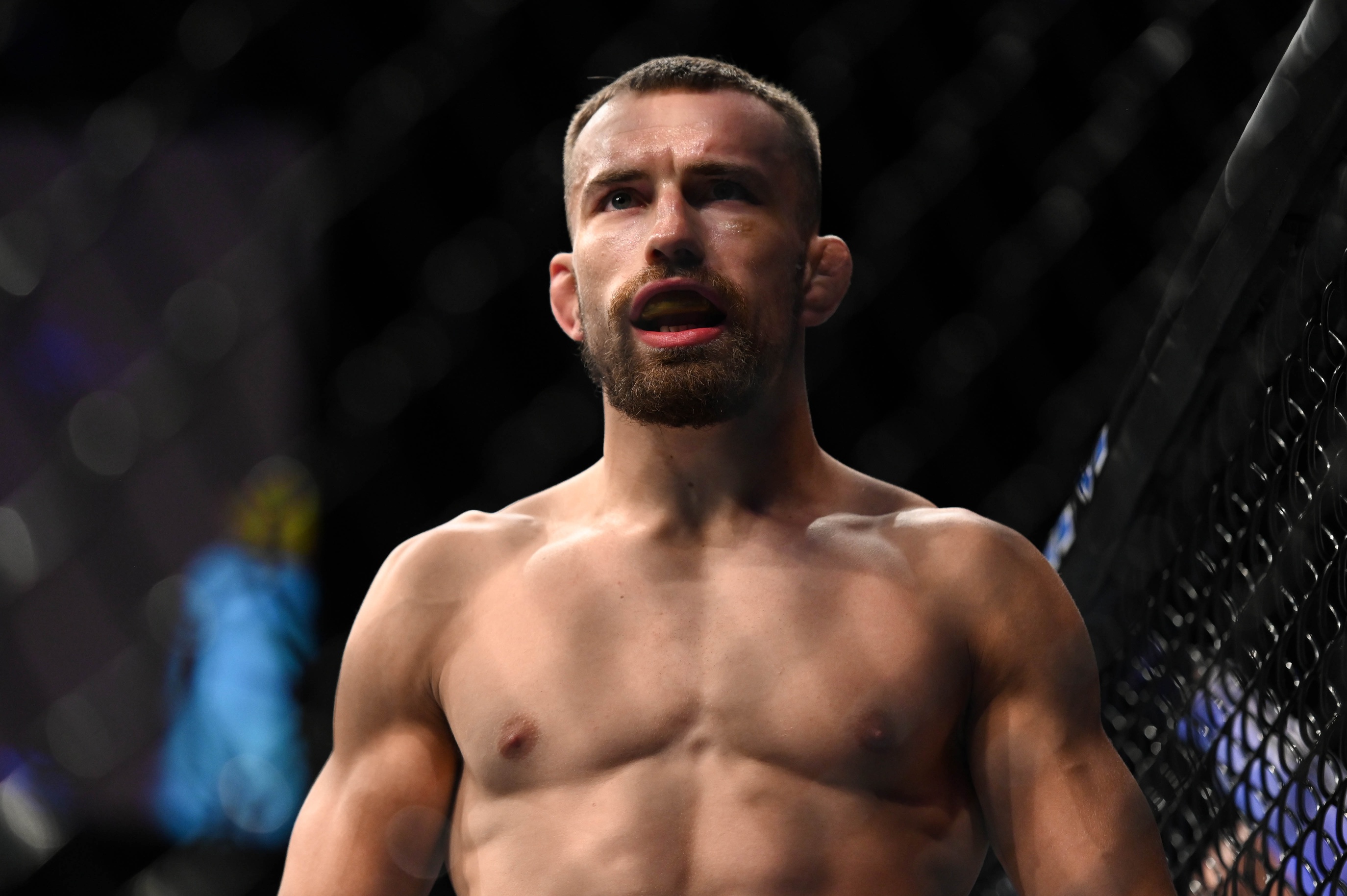 ufc picks Ludovit Klein ufc predictions best bet odds