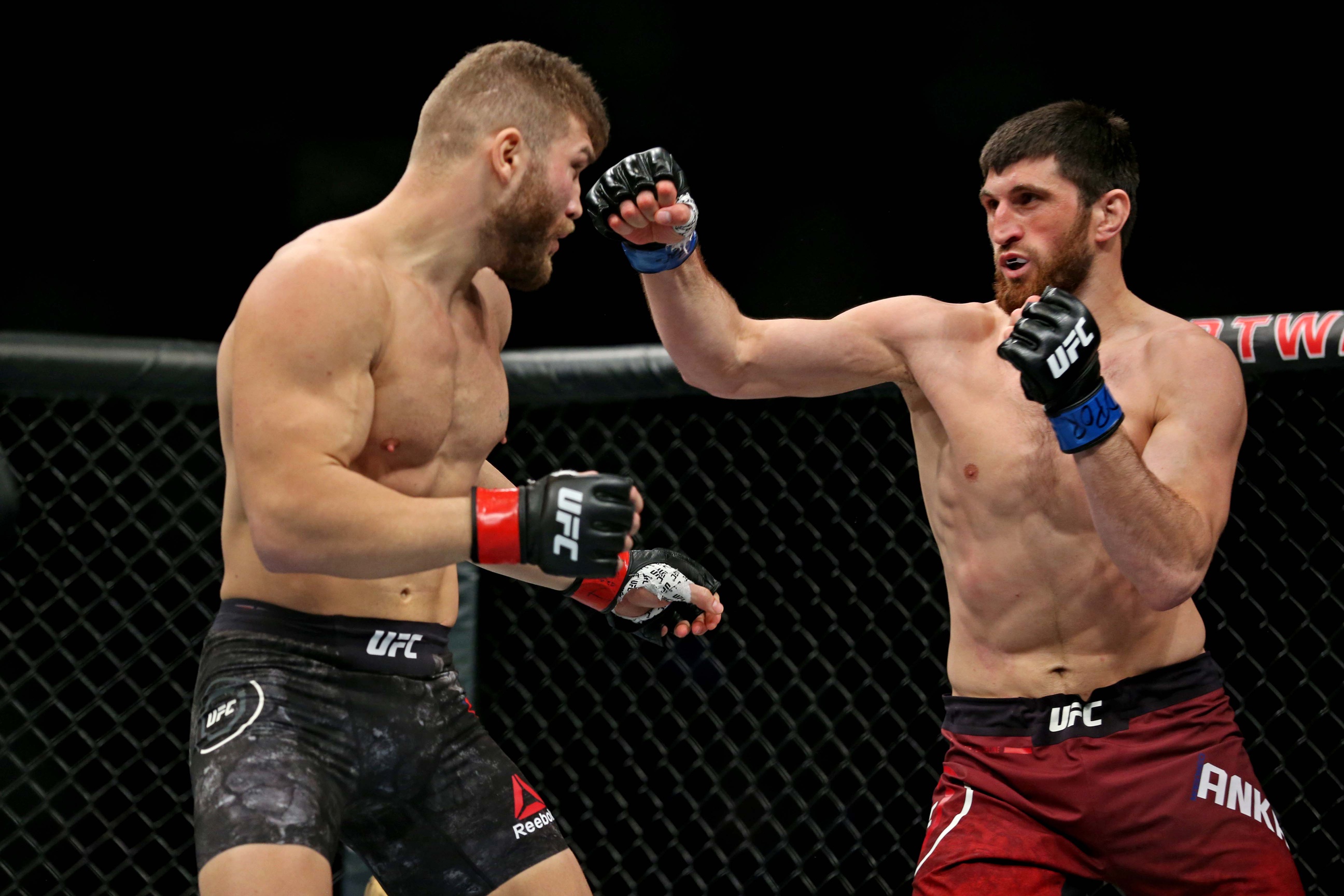 ufc picks Magomed Ankalaev predictions best bet odds