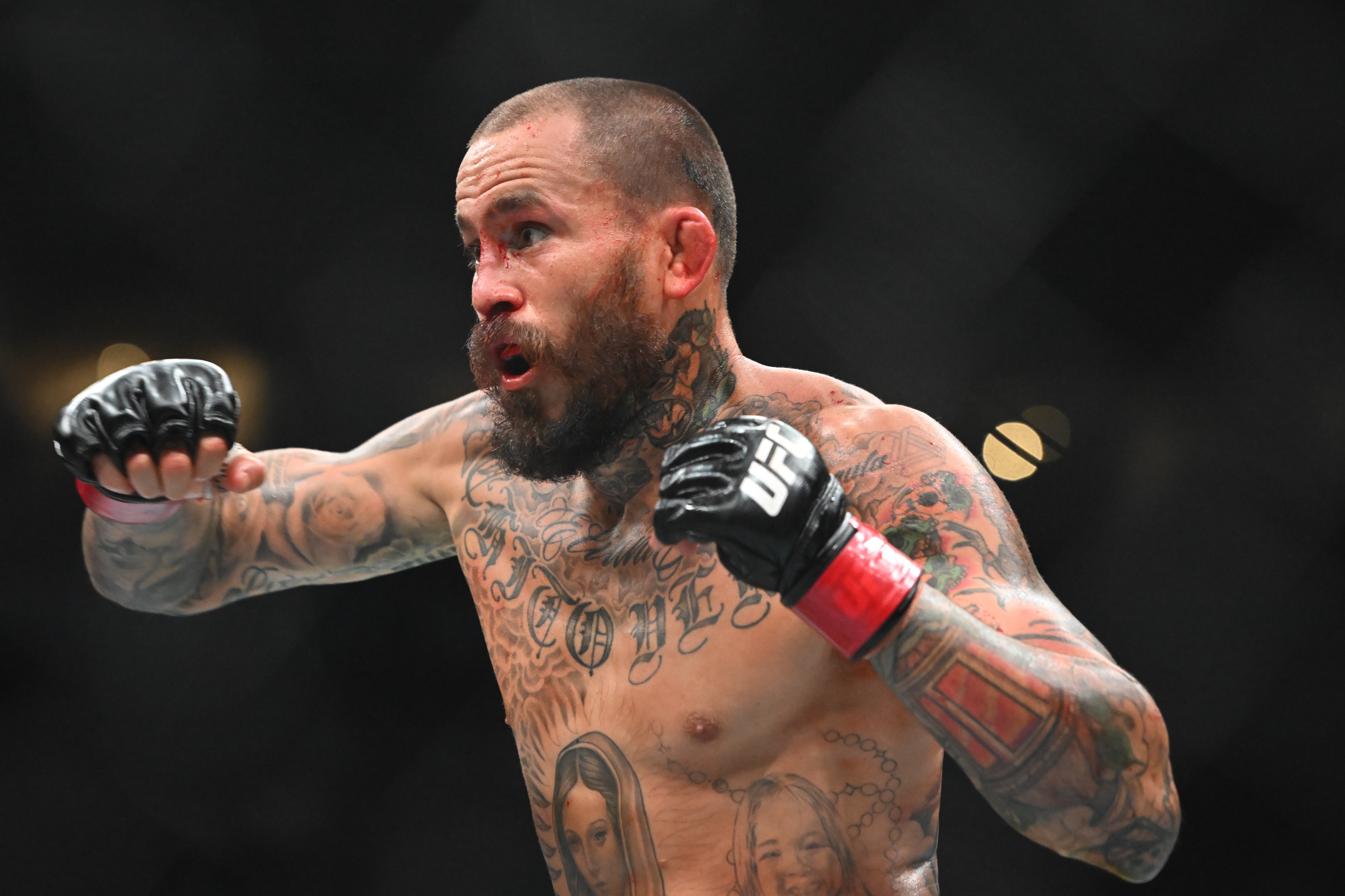 ufc picks Marlon Vera predictions best bet odds