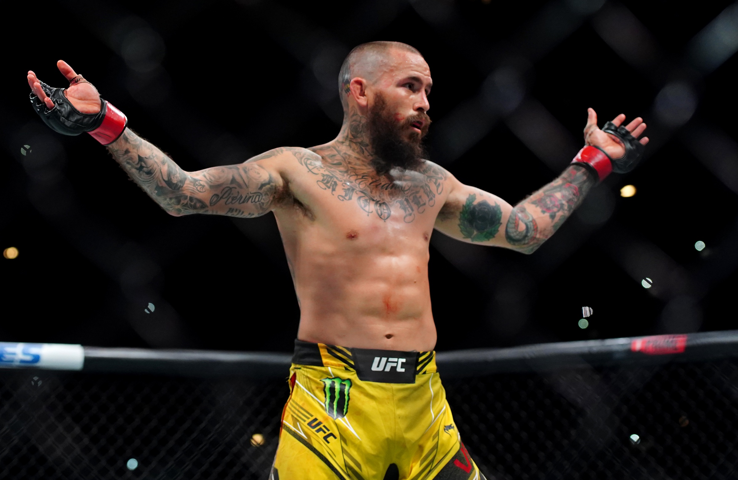 ufc picks Marlon Vera ufc predictions best bet odds