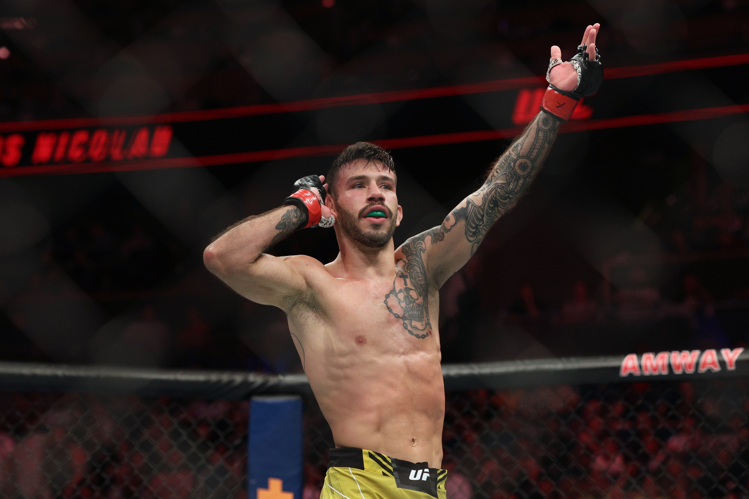ufc picks Matheus Nicolau ufc predictions best bet odds