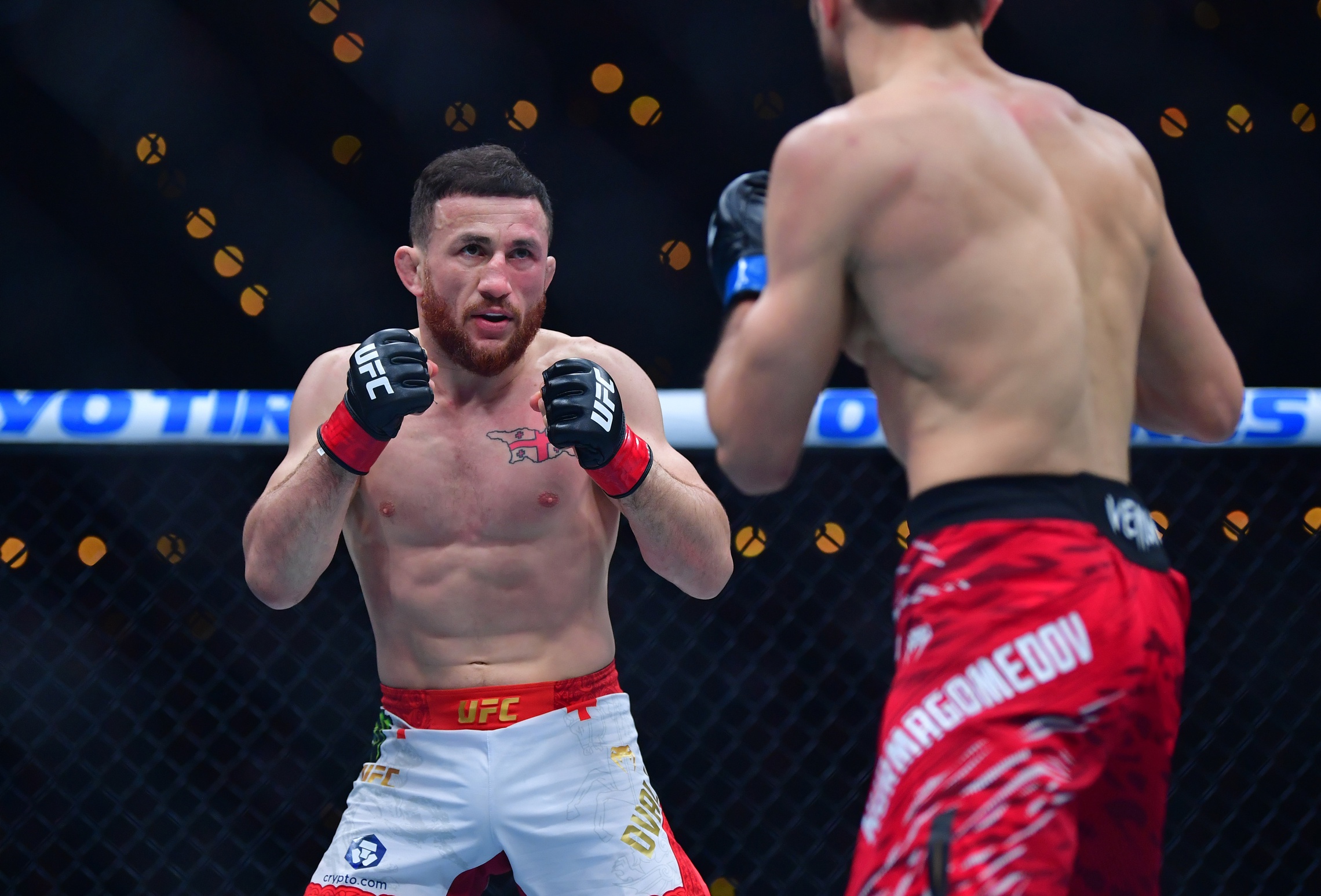 ufc picks Merab Dvalishvili ufc predictions best bet odds