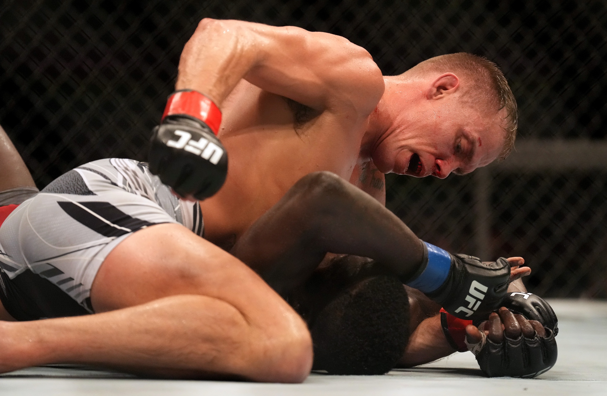 ufc picks Nate Landwehr predictions best bet odds