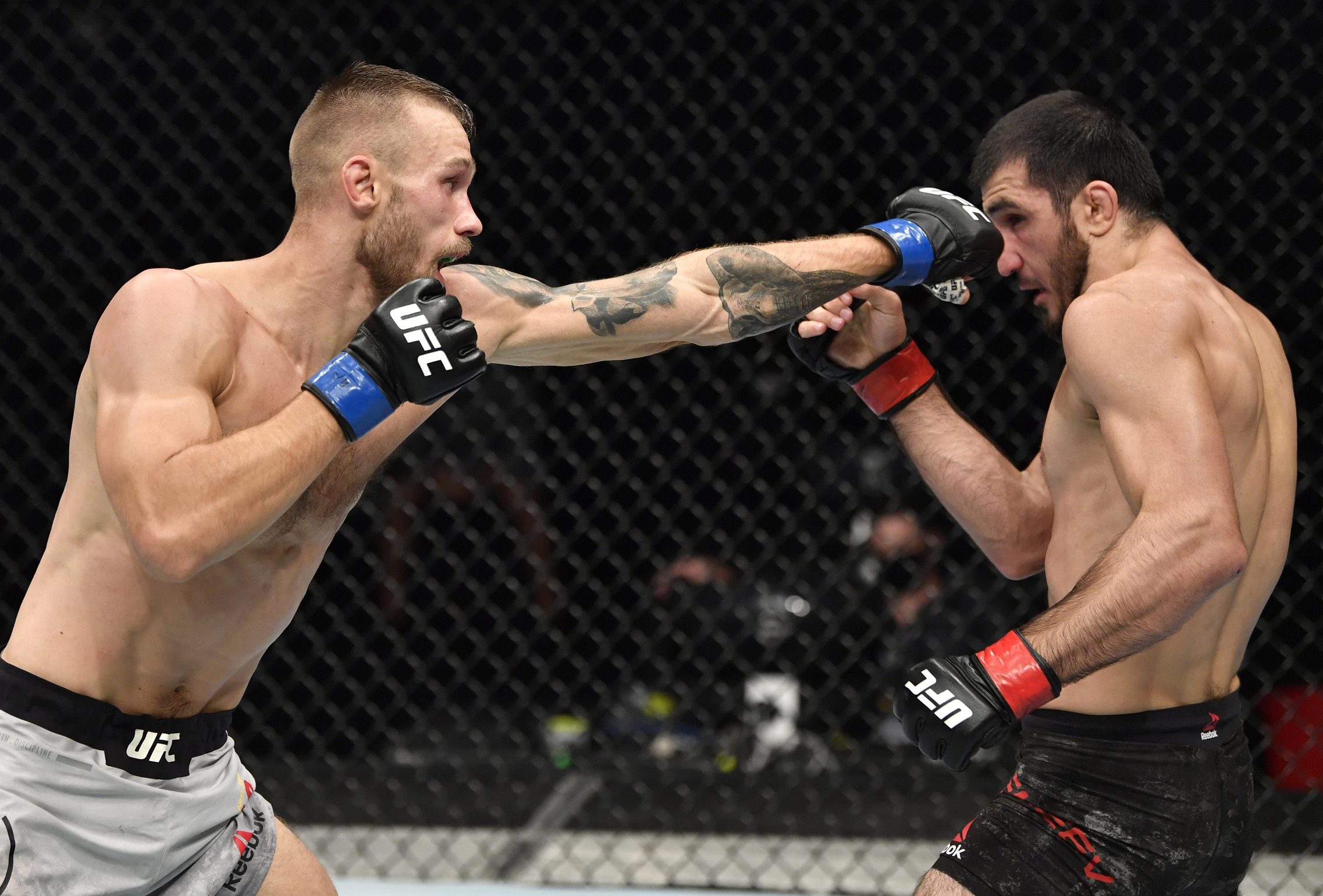 ufc picks Niklas Stolze predictions best bet odds