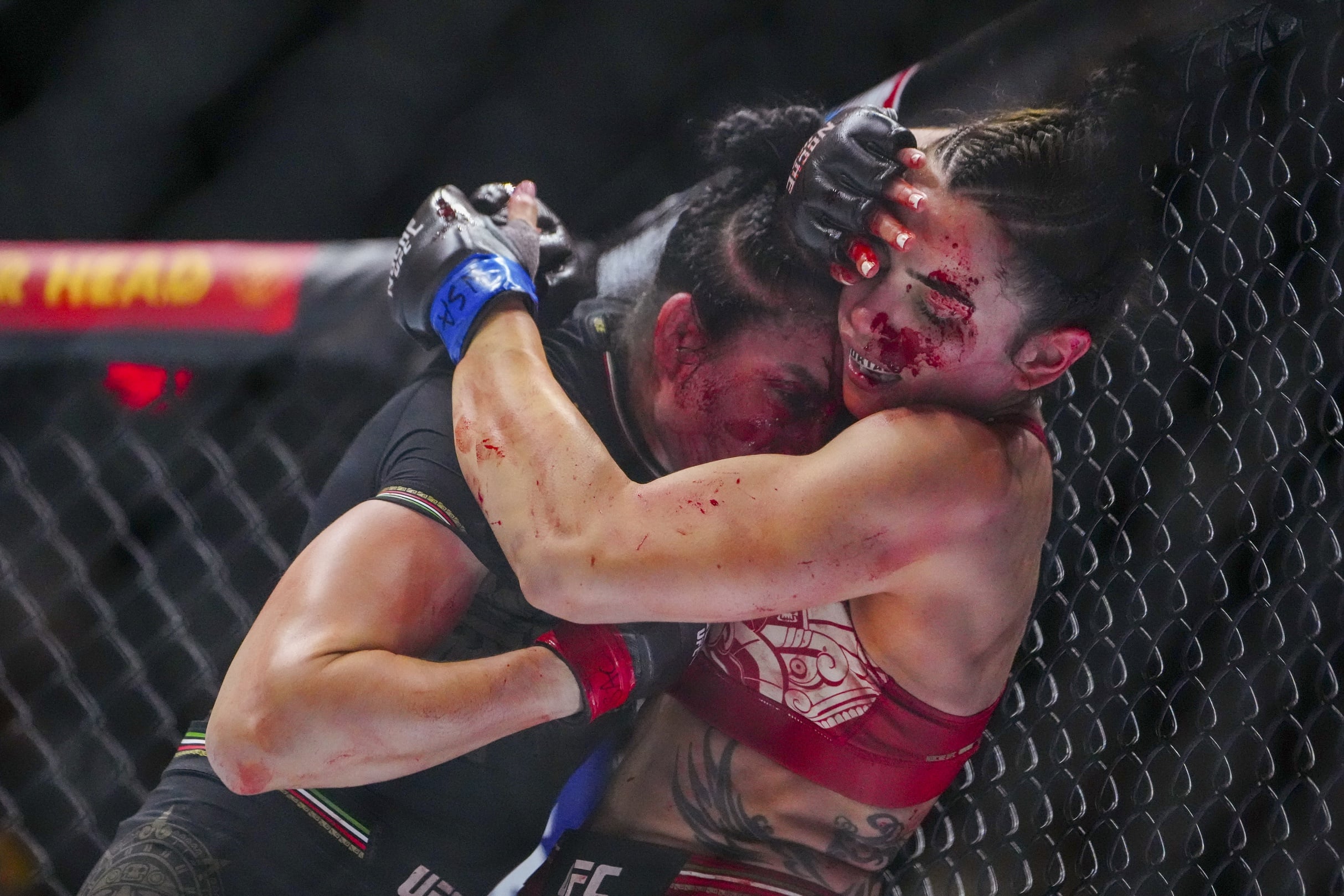 ufc picks Norma Dumont predictions best bet odds