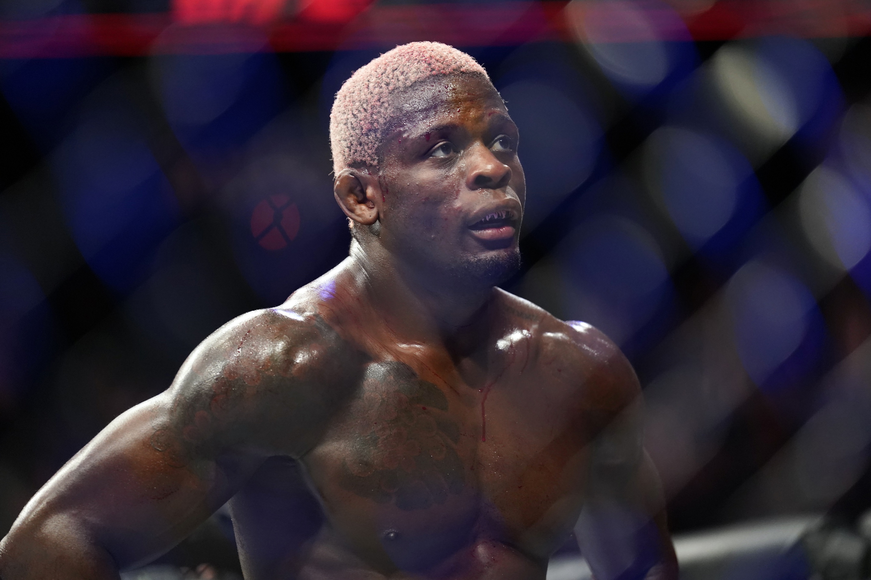 ufc picks Phil Hawes predictions best bet odds