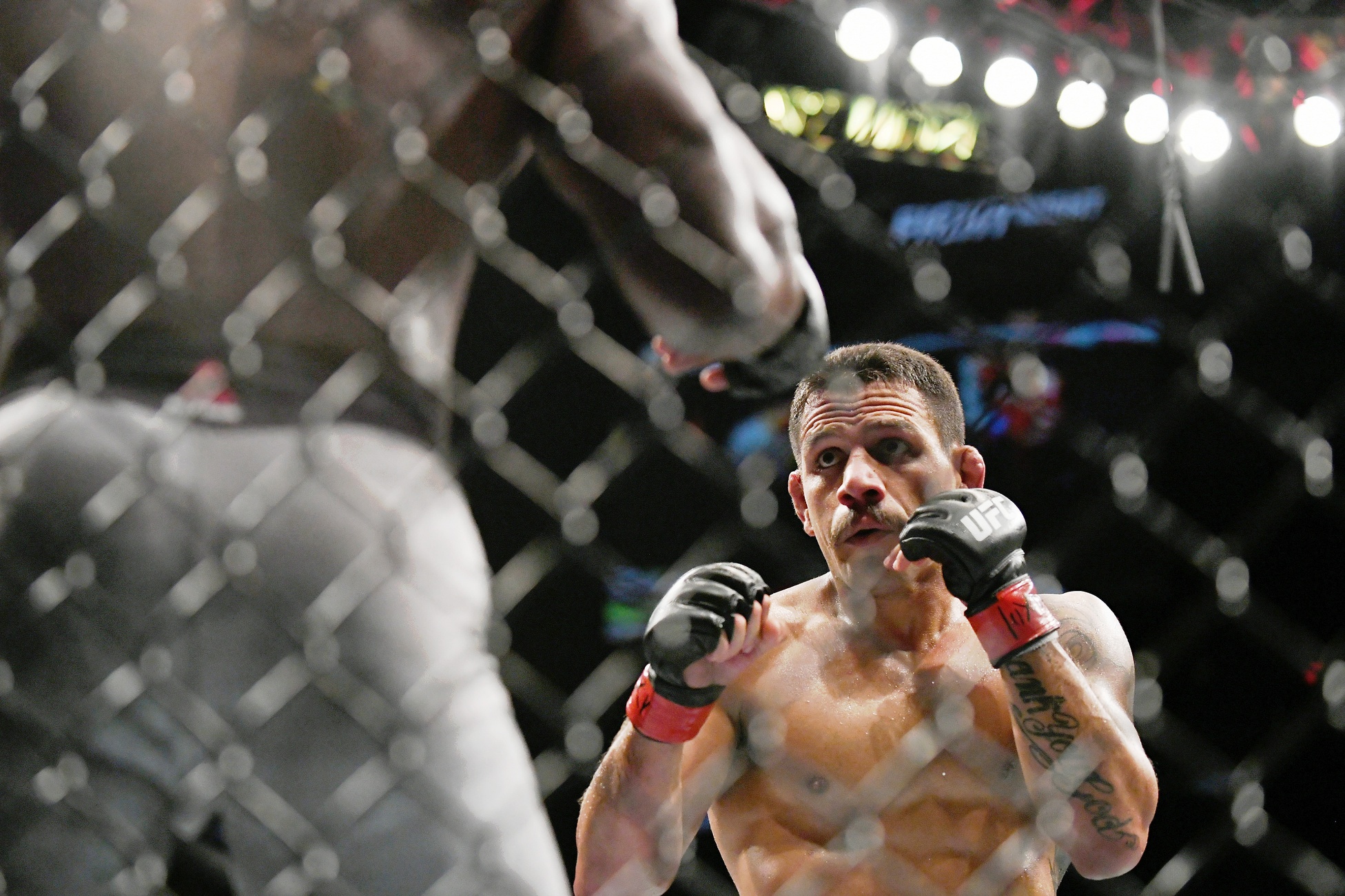 ufc picks Rafael Dos Anjos predictions best bet odds