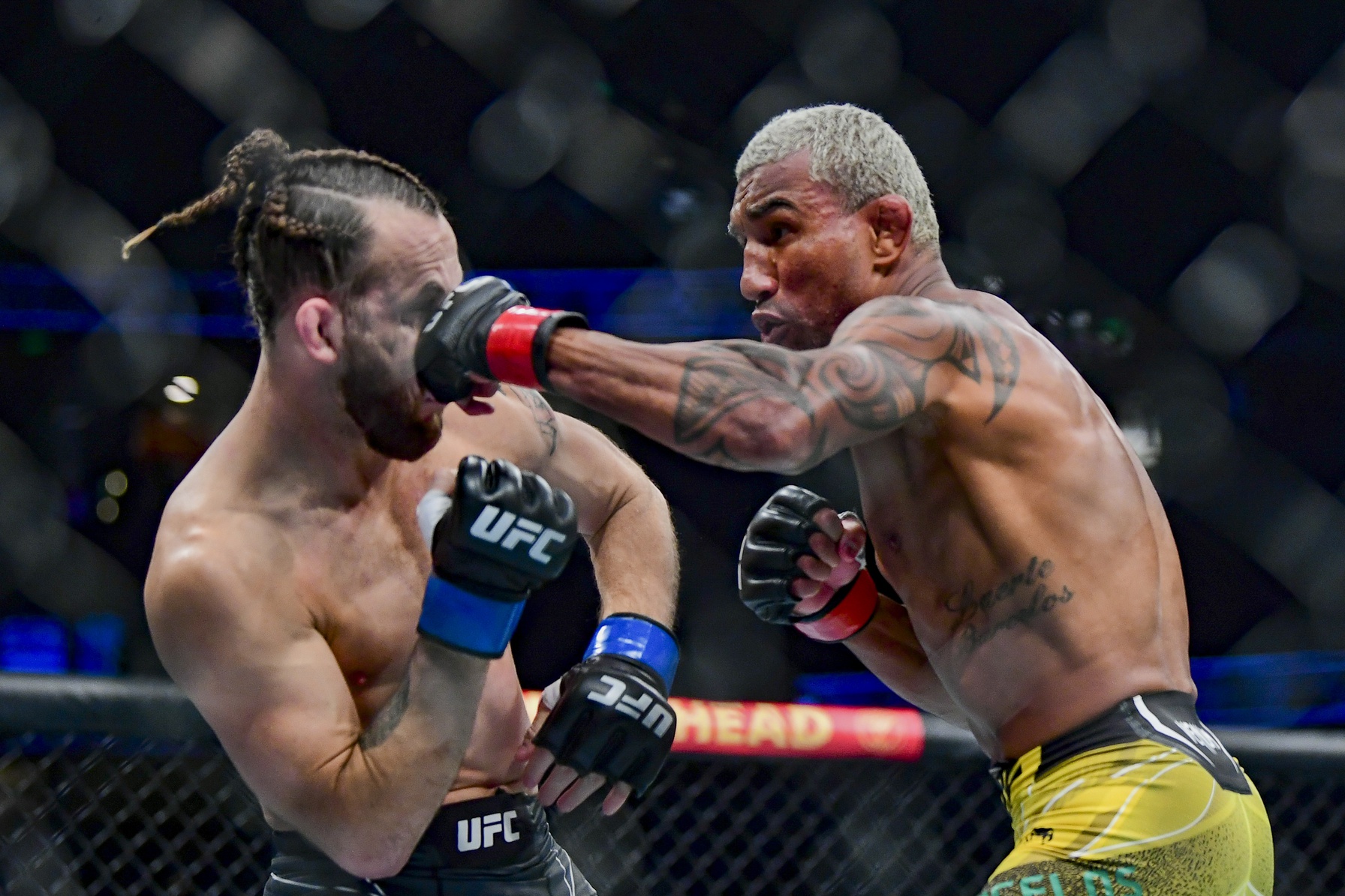 ufc picks Raoni Barcelos Raoni Barcelos ufcpredictions best bet odds