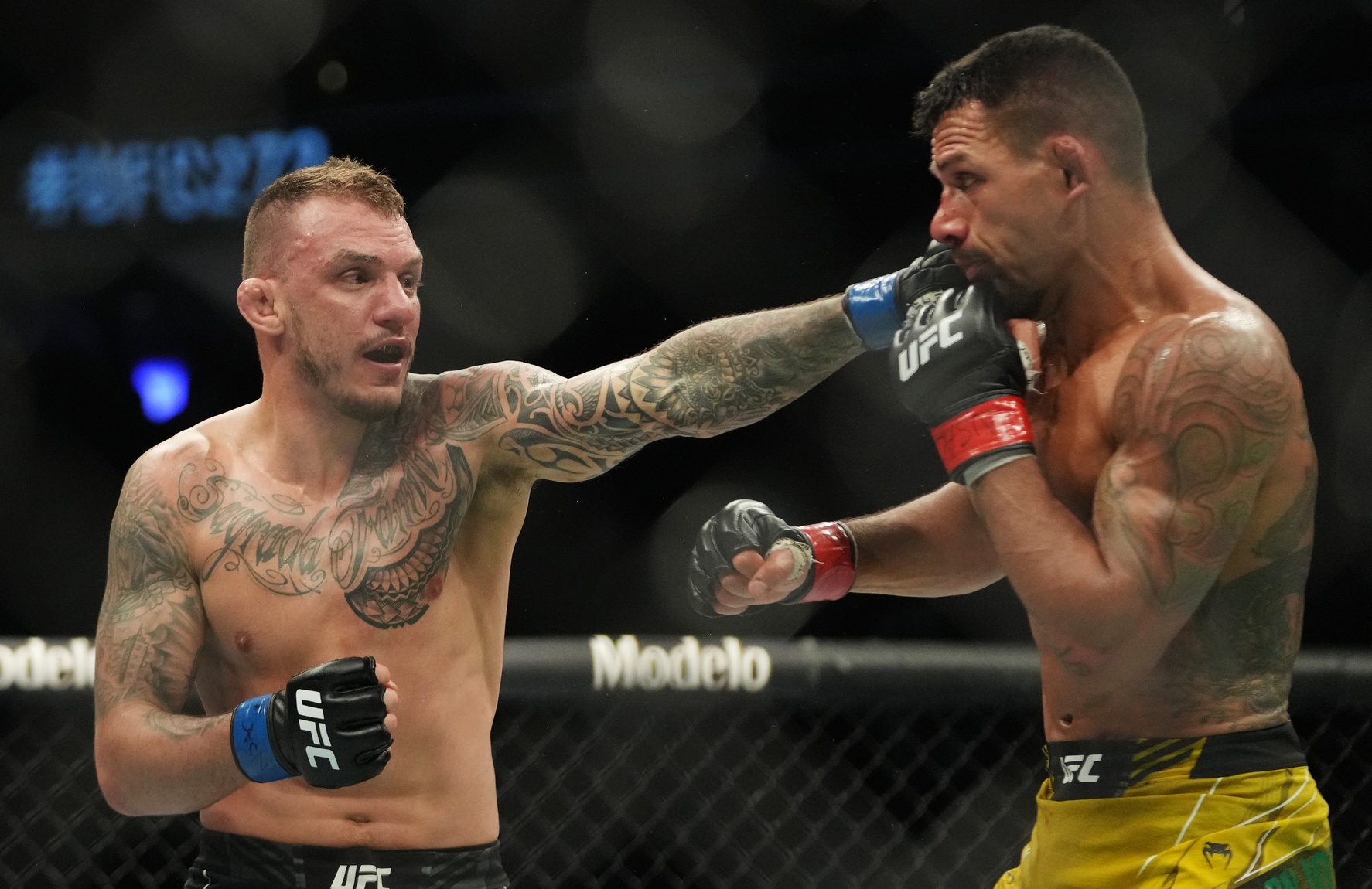 ufc picks Renato Moicano predictions best bet odds