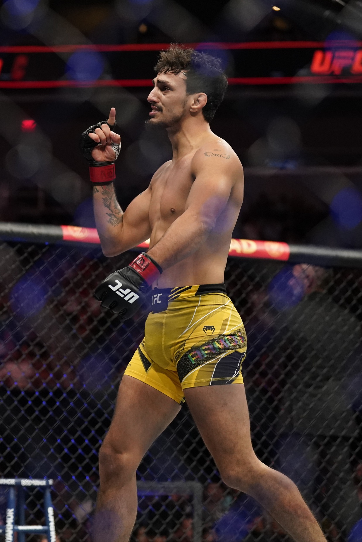ufc picks Ricardo Ramos ufc predictions best bet odds