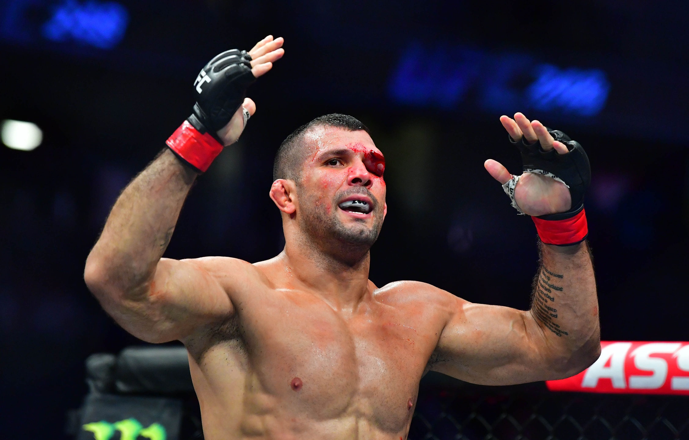 ufc picks Rodolfo Vieira predictions best bet odds