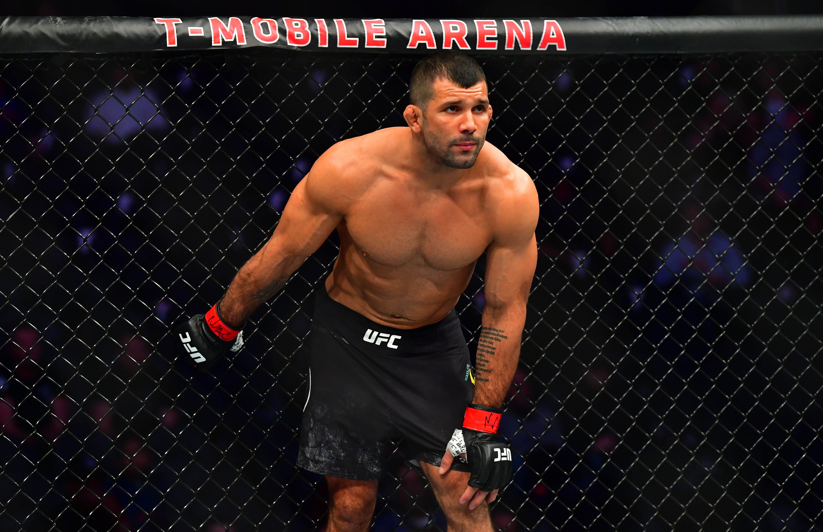 ufc picks Rodolfo Vieira predictions best bet odds