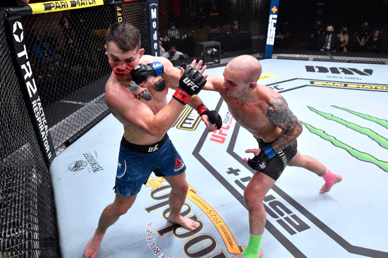 ufc picks Sasha Palatnikov predictions best bet odds