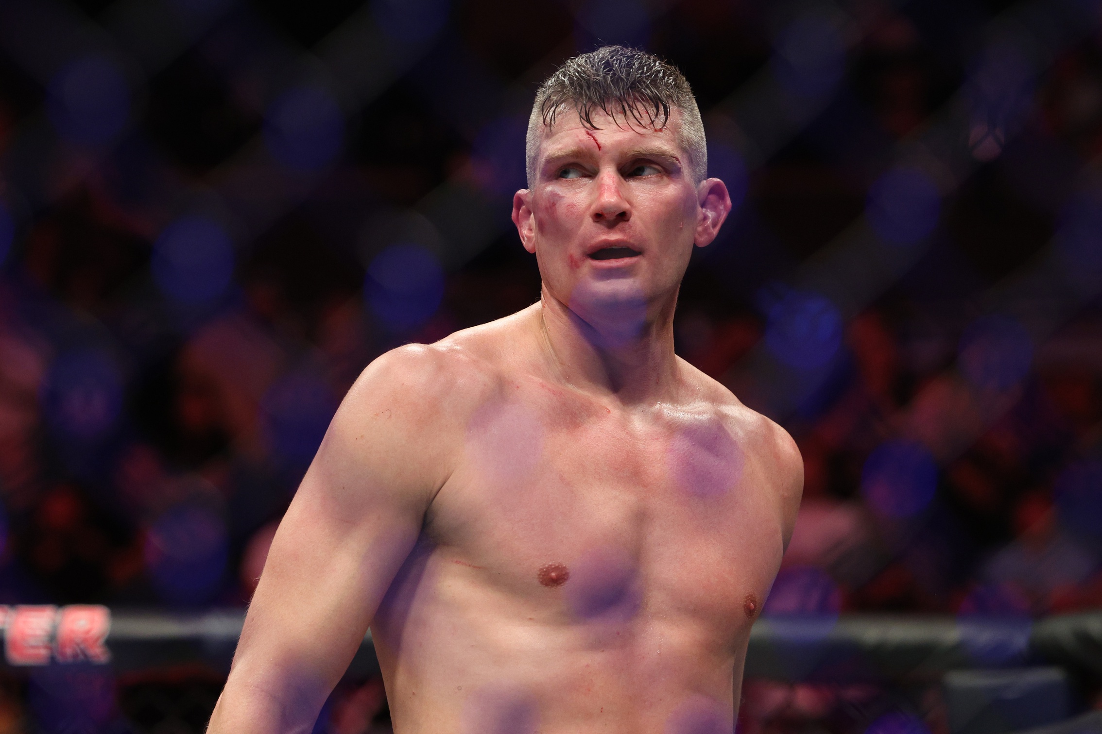 ufc picks Stephen Thompson ufc predictions best bet odds